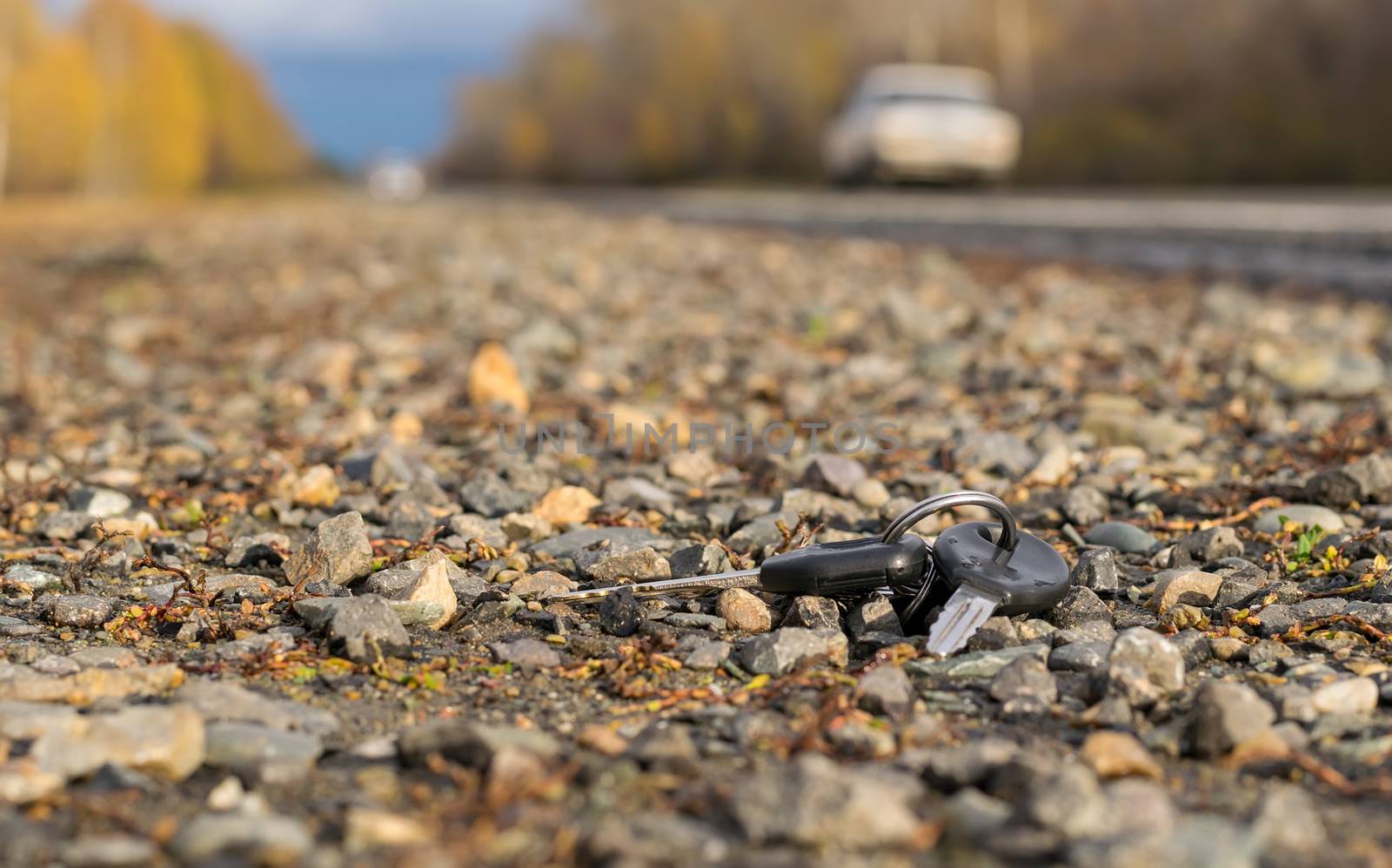 Lost bunch of keys lying on the side of the road near the asphalt pavement by jk3030