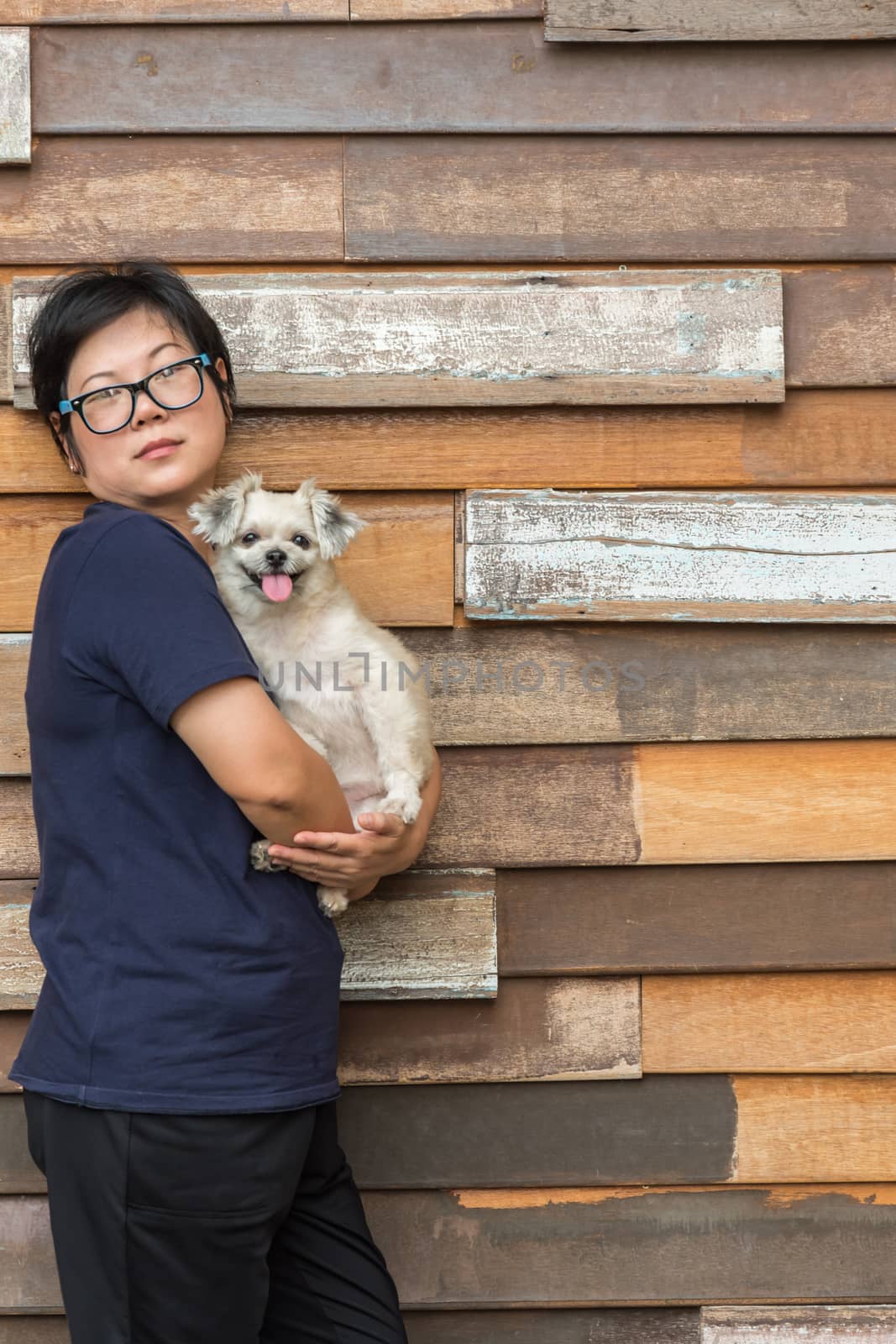 Asian woman and dog happy smile hugging her pat is a dog so cute mixed breed with Shih-Tzu, Pomeranian and Poodle with wooden wall with wood plank background with copy space
