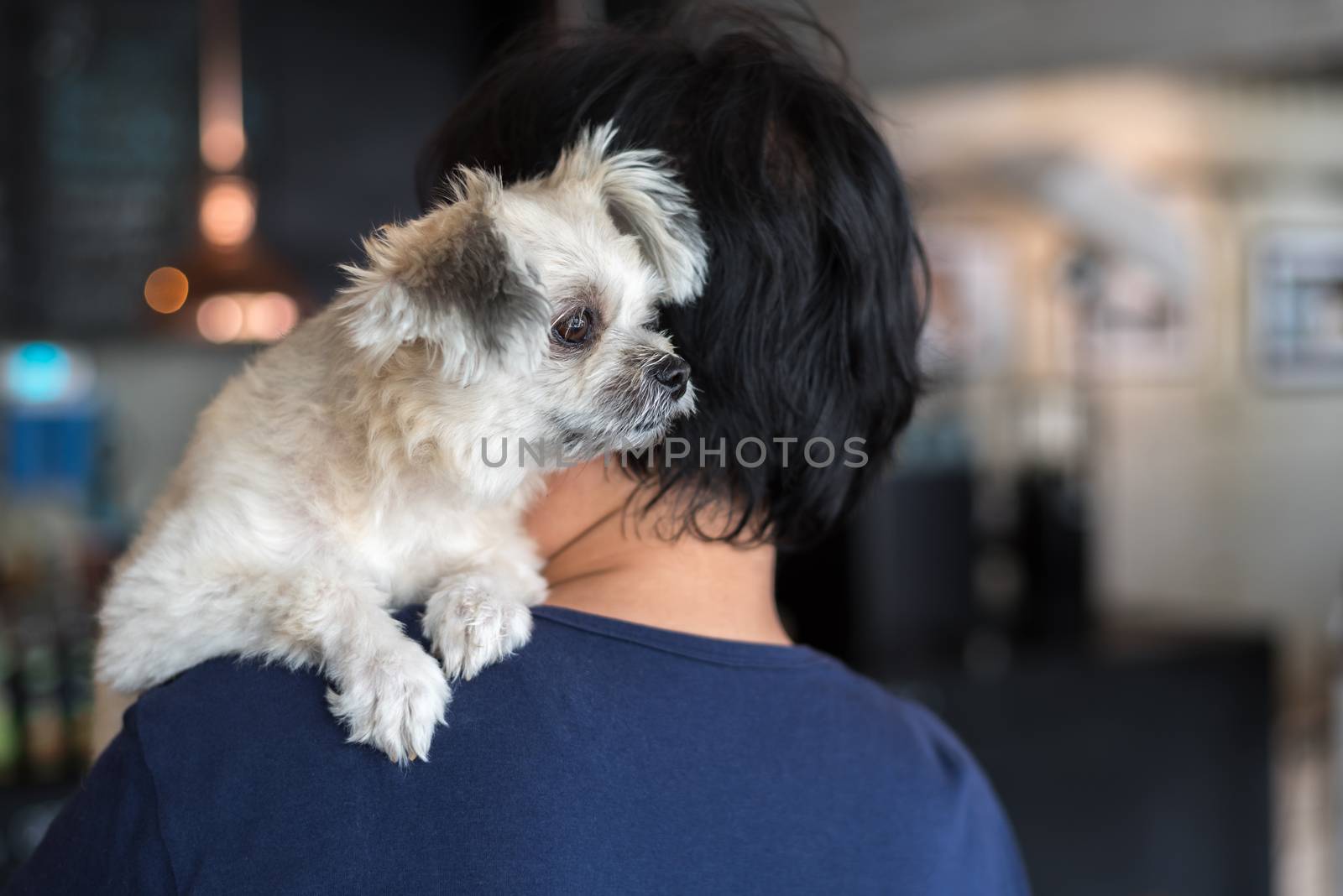 Asian woman hugging dog so cute at coffee shop by PongMoji