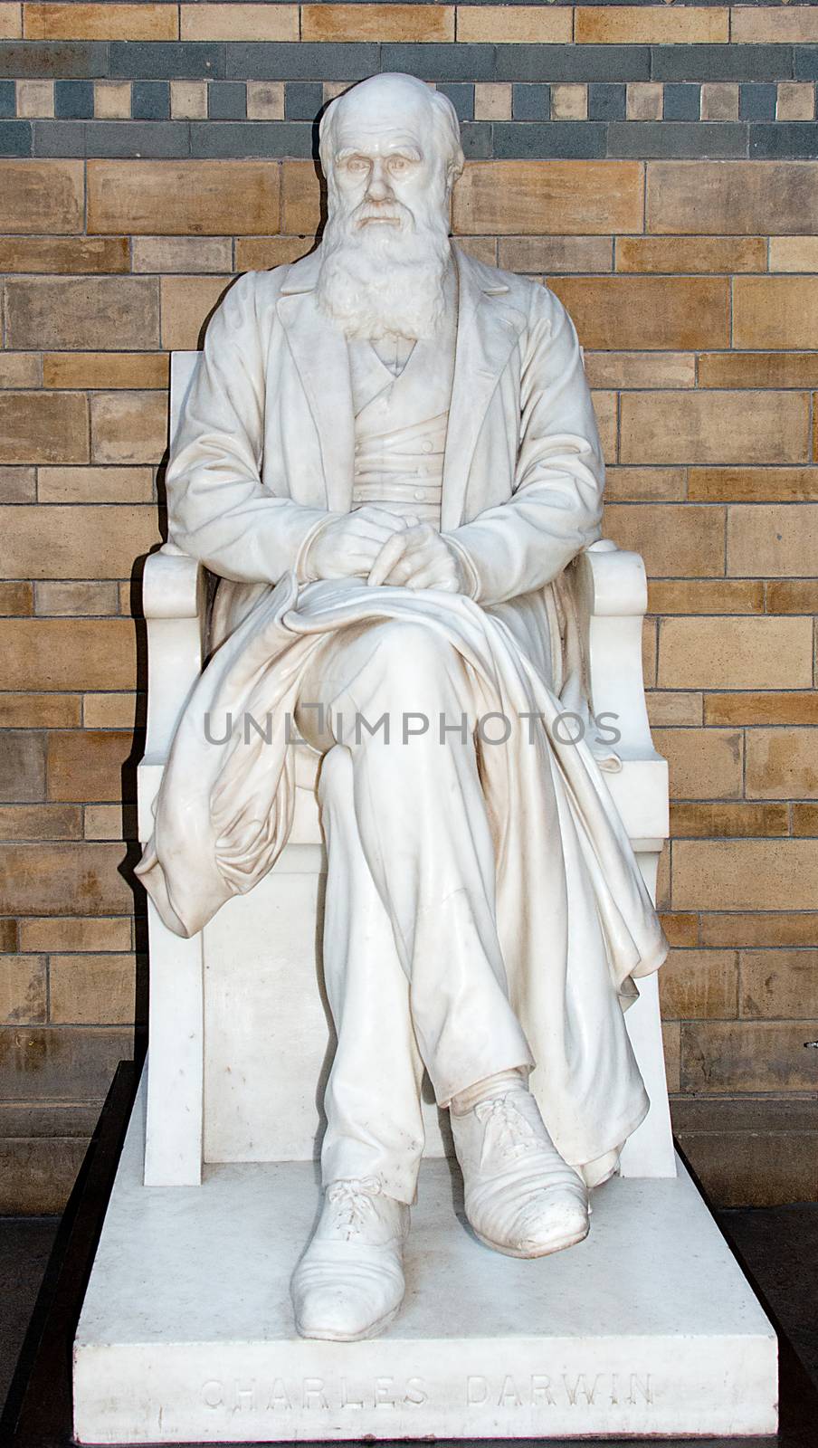 Charles Darwin Statue