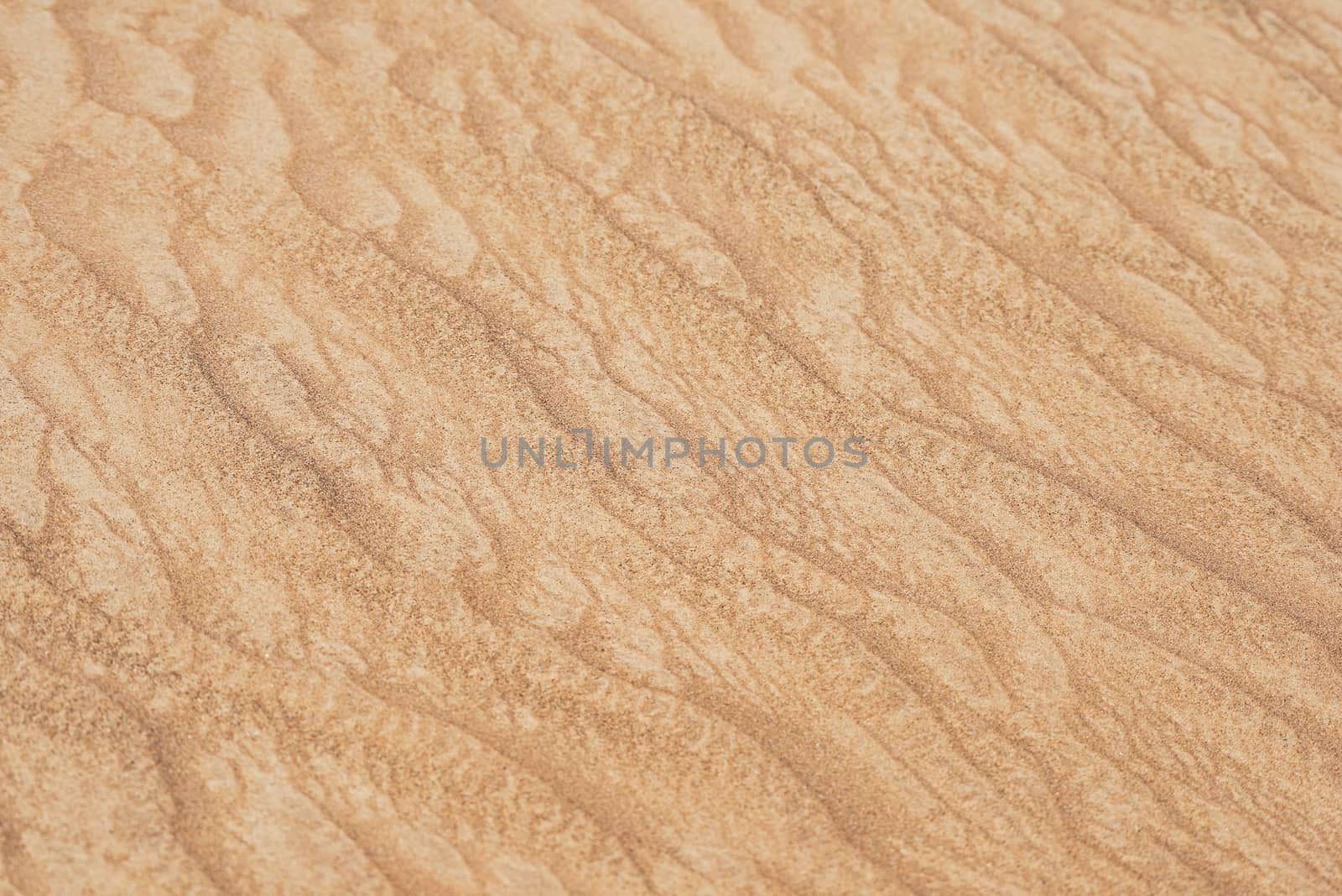 Real Desert sand texture and pattern for background or presentation