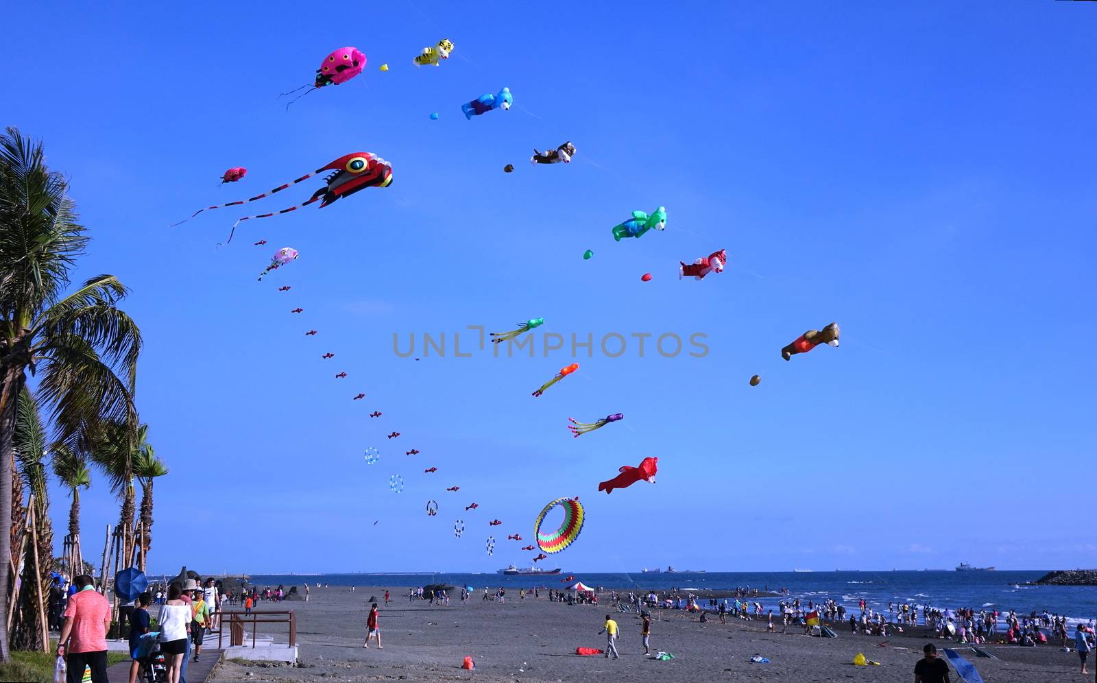 Colorful Kites During Beach Festival by shiyali