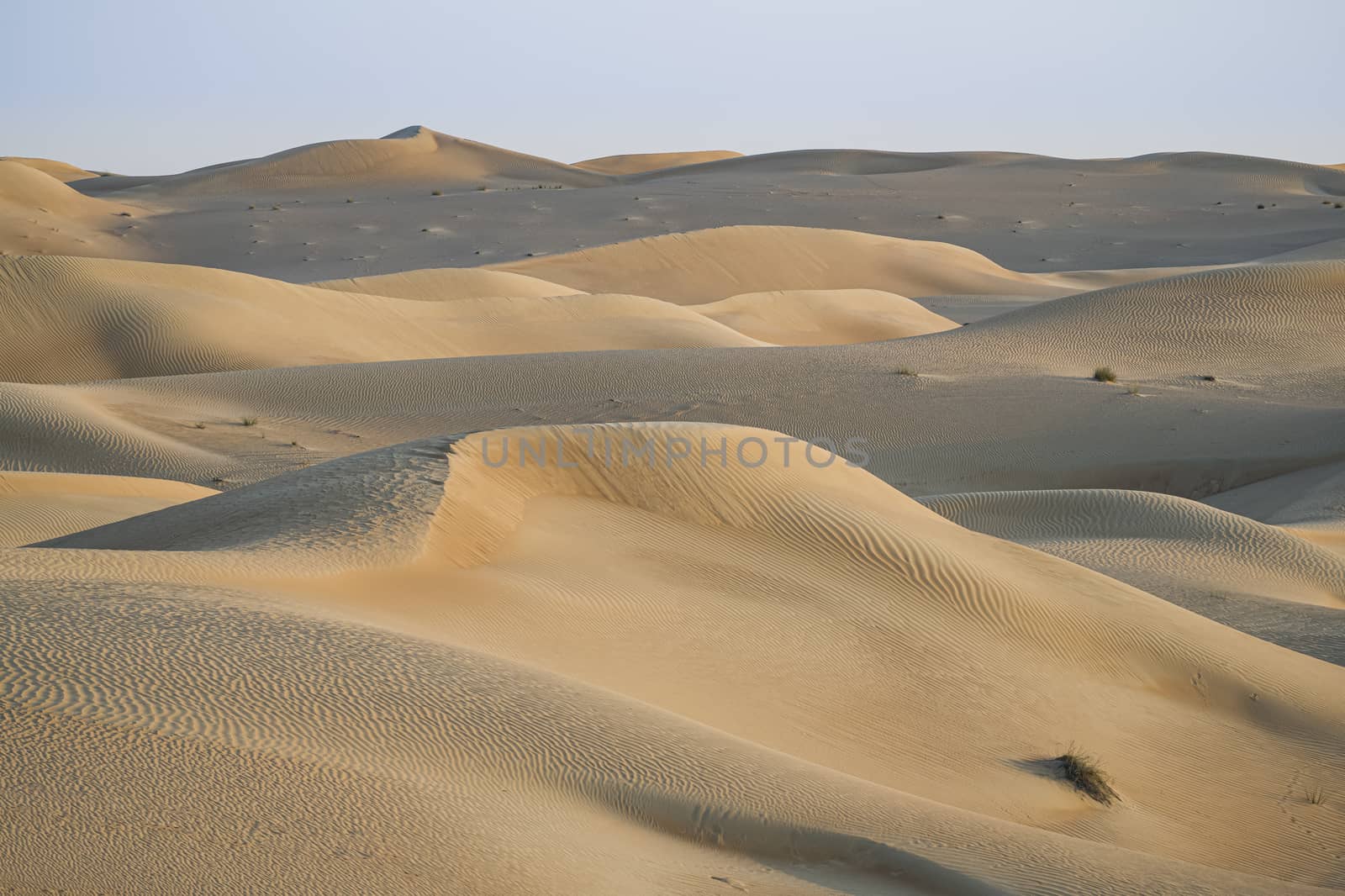 Desert landscape for background  by GABIS