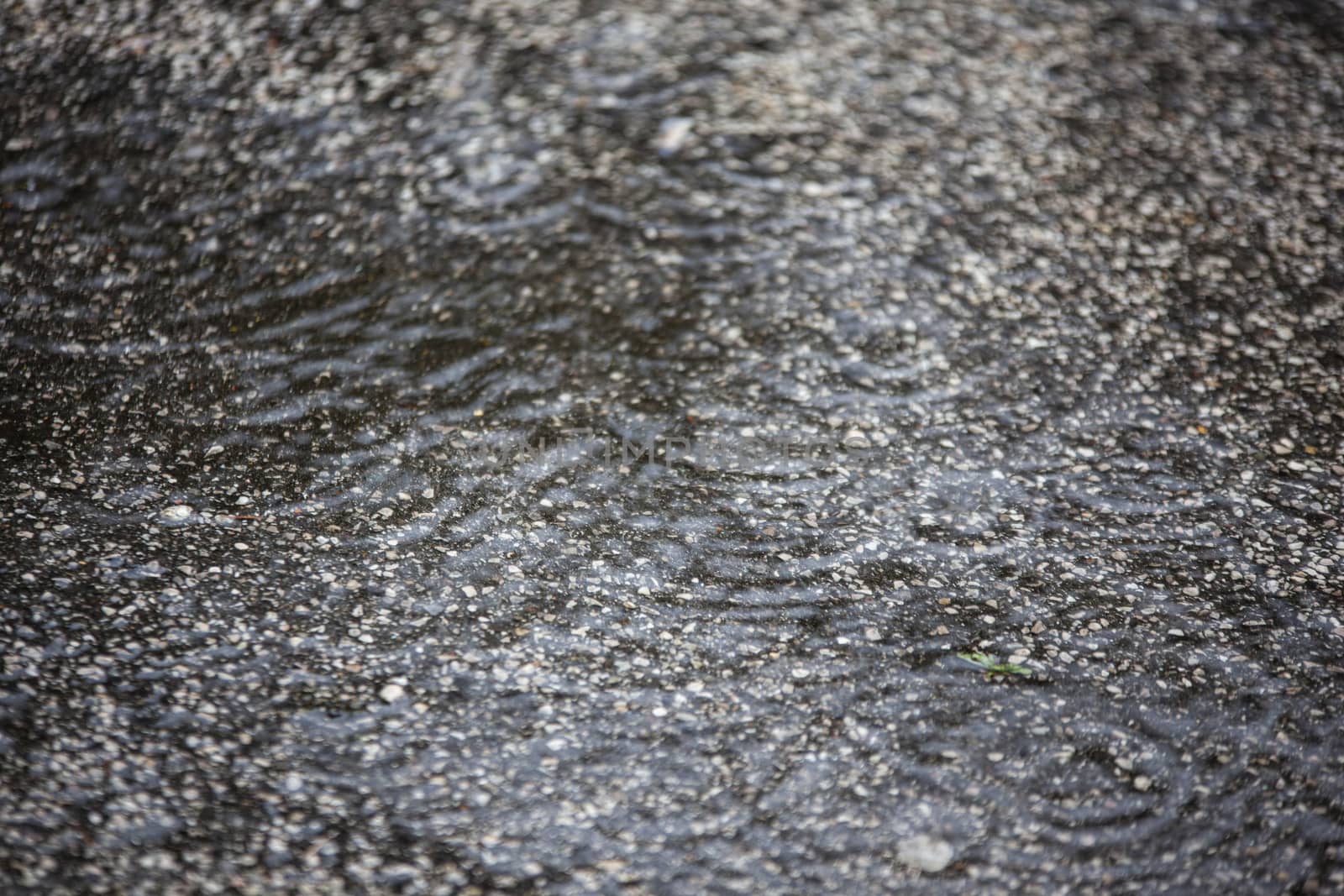 Texture of Asphalt with falling rain drops detail