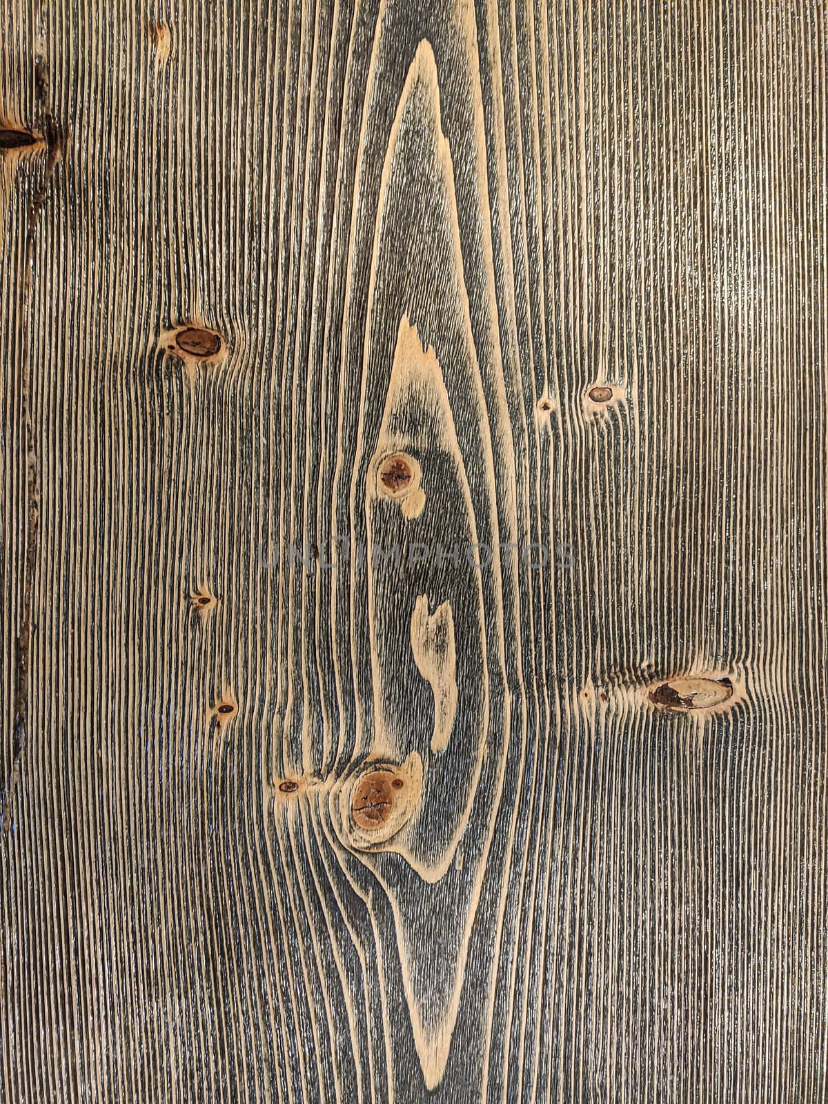 Wood texture detail 3 by pippocarlot