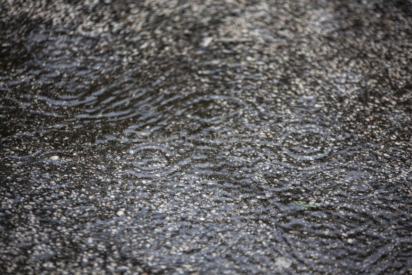 Texture of Asphalt with falling rain drops detail
