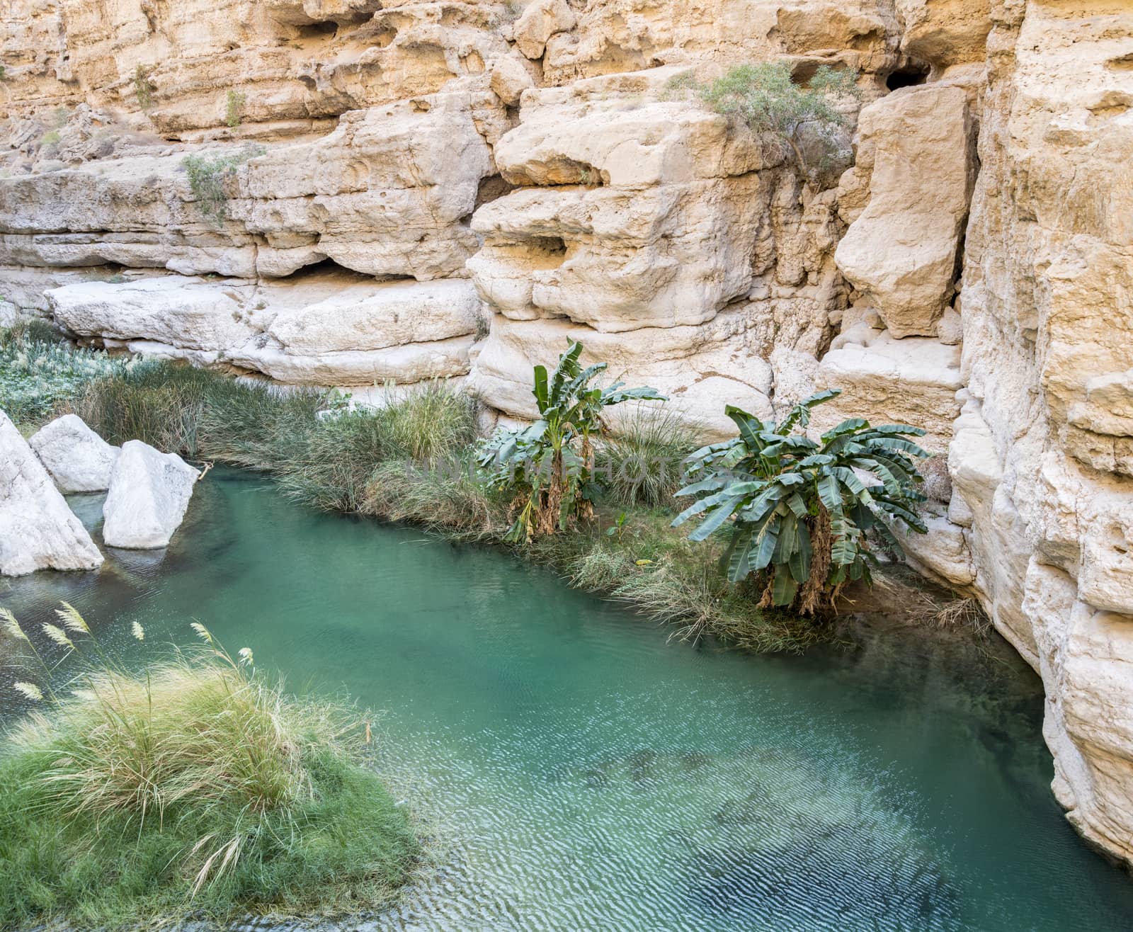 One natural pool in the canyon of the famous and touristic Wadi Shab, Tiwi, Sultanate of Oman, Middle East