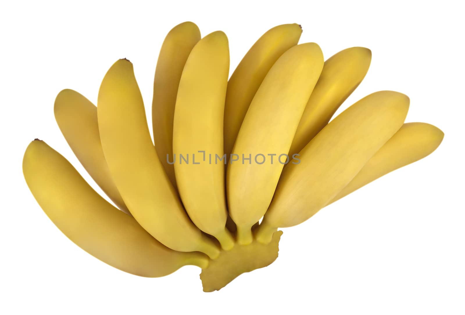 Bunch of Bananas isolated on white background. Clipping path included.