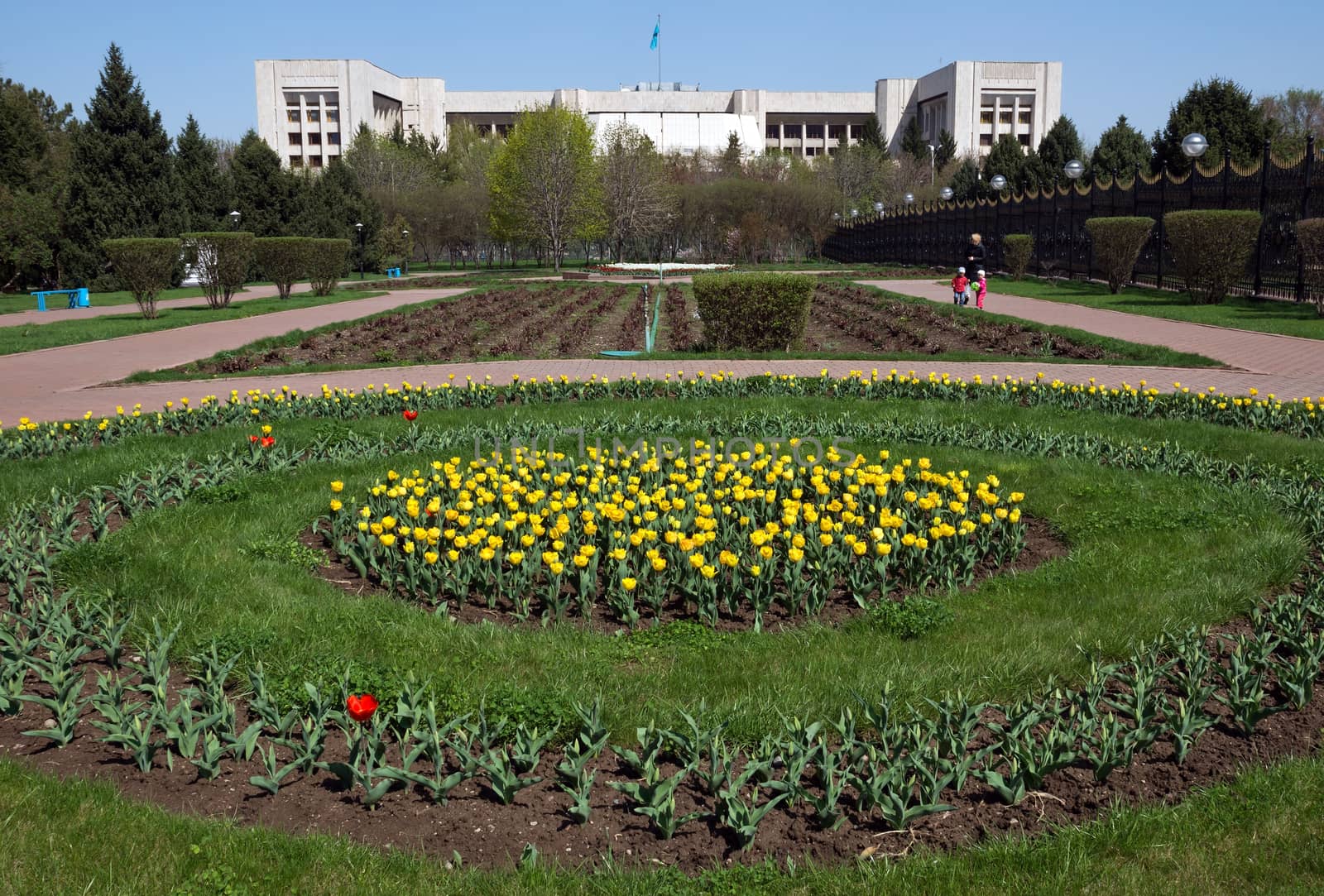 ALMATY, KAZAKHSTAN - APRIL 17, 2015: President's park in the town. Almaty is the largest city in Kazakhstan, and was the country's capital until 1997.

Almaty, Kazakhstan - April 17, 2015: President's park in the town. Almaty is the largest city in Kazakhstan, and was the country's capital until 1997. People are walking in the park.