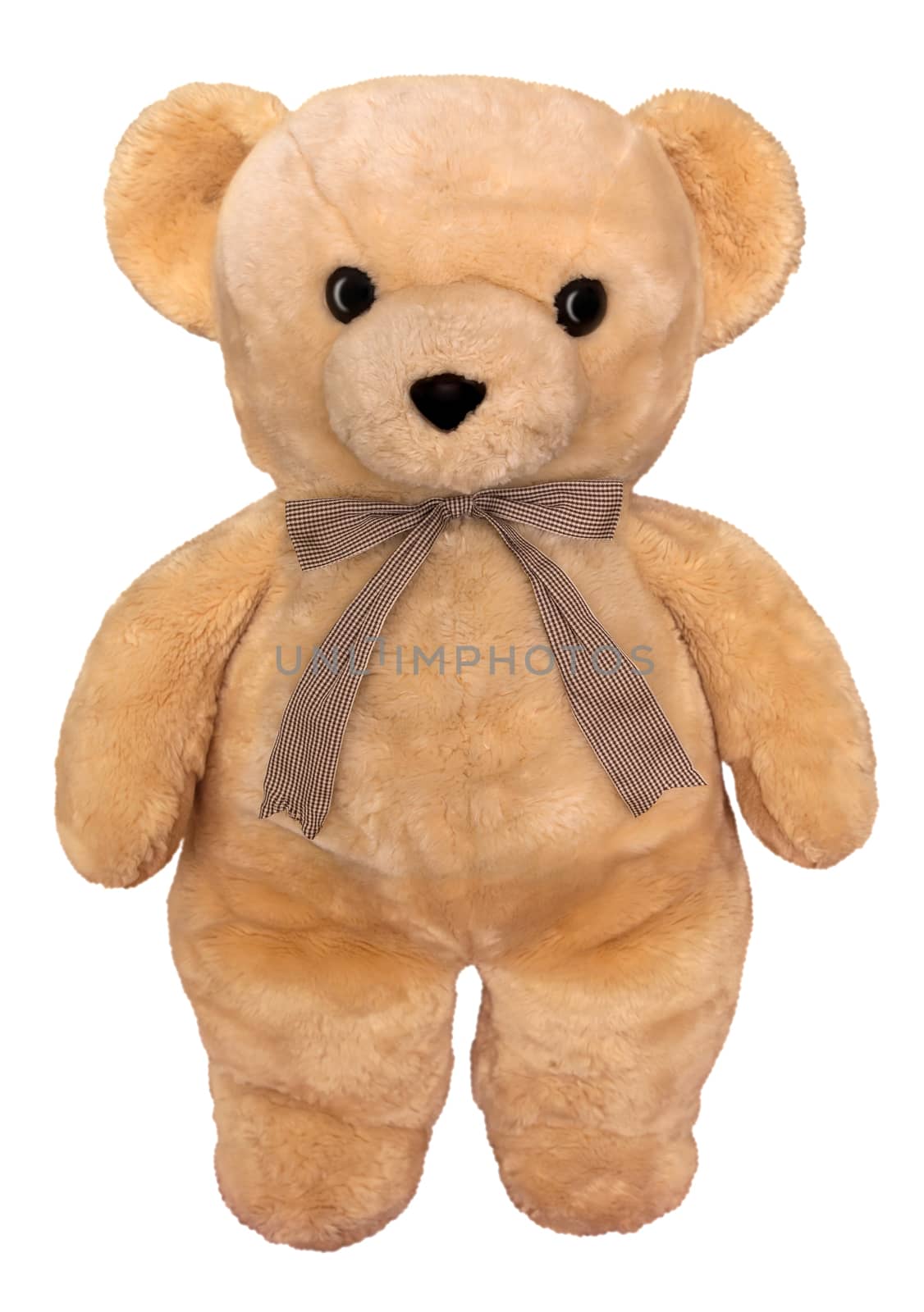 Toy teddy bear isolated on white. Clipping path included.