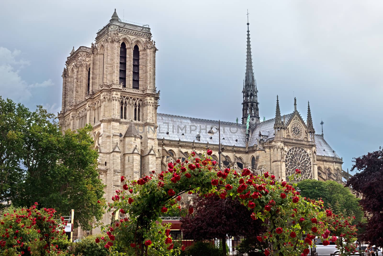 The Cathedral of Notre Dame de Paris, France