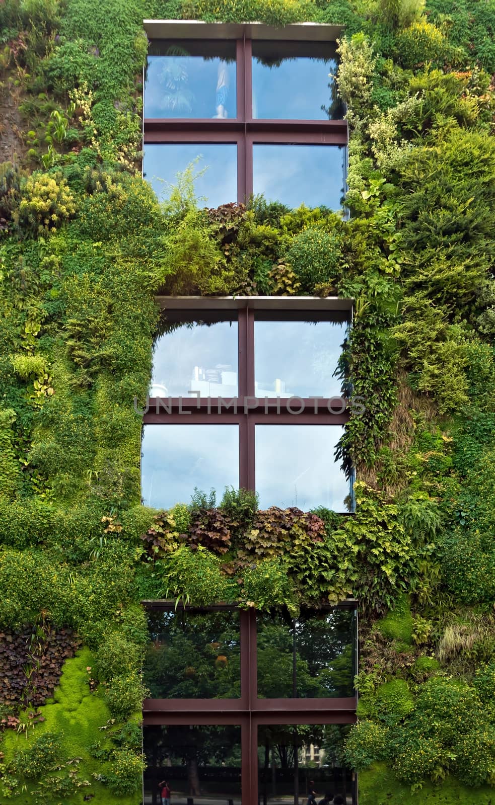 PARIS, FRANCE - JUNE 9, 2014: Quai Branly Museum. The green wall on part of the exterior of the museum was designed and planted by Gilles Clement and Patrick Blanc.

Paris, France - June 9, 2014: Quai Branly Museum. The green wall on part of the exterior of the museum was designed and planted by Gilles Clement and Patrick Blanc.