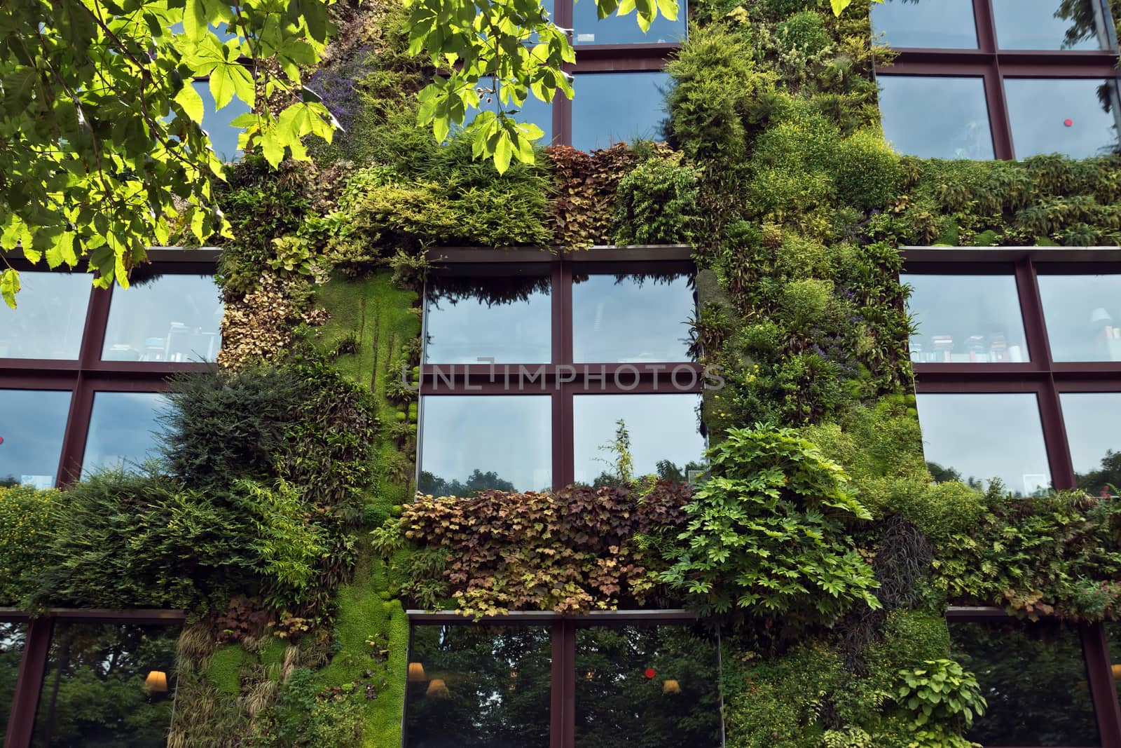 PARIS, FRANCE - JUNE 9: Quai Branly Museum. The green wall on part of the exterior of the museum was designed and planted by Gilles Clement and Patrick Blanc.

Paris, France - June 9, 2014: Quai Branly Museum. The green wall on part of the exterior of the museum was designed and planted by Gilles Clement and Patrick Blanc.