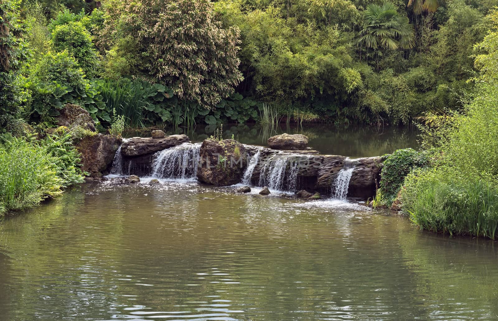 Small waterfall in a lush green forest in France.