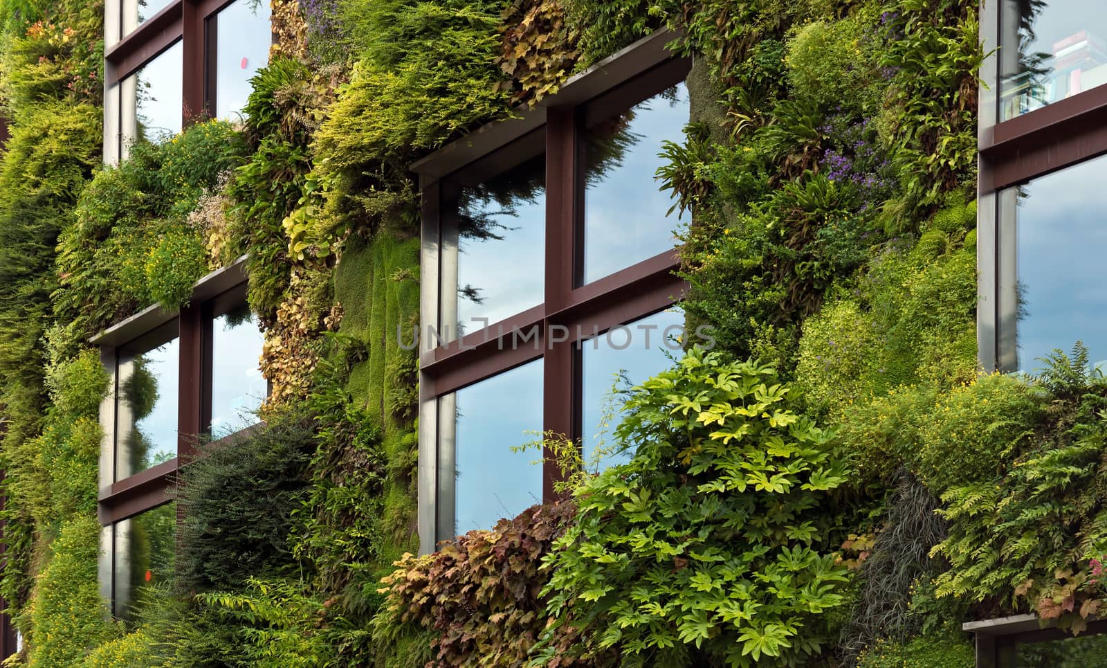 PARIS, FRANCE - JUNE 9, 2014: Quai Branly Museum. The green wall on part of the exterior of the museum was designed and planted by Gilles Clement and Patrick Blanc.

Paris, France - June 9, 2014: Quai Branly Museum. The green wall on part of the exterior of the museum was designed and planted by Gilles Clement and Patrick Blanc.