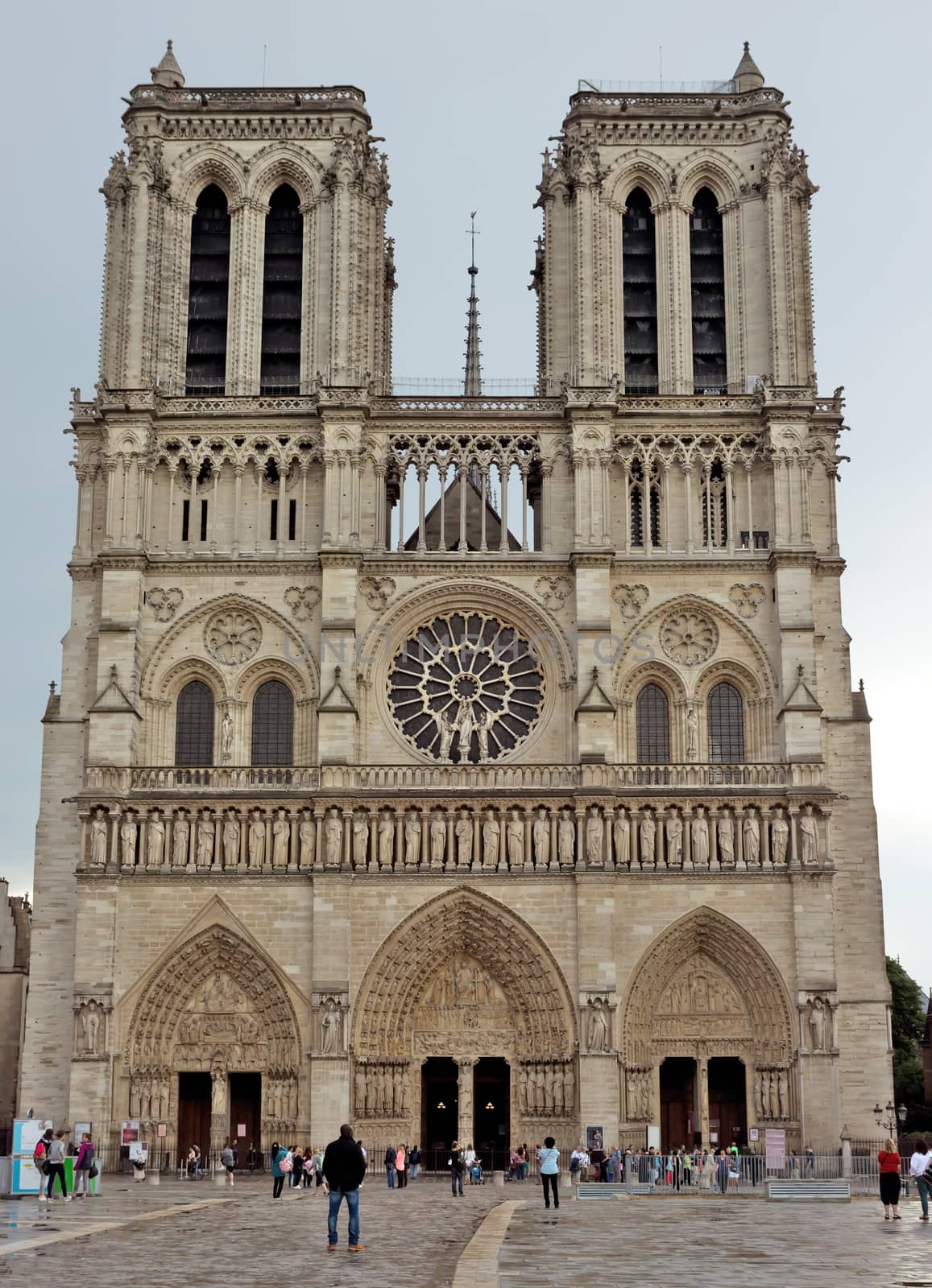 Paris - Cathedral of Notre Dame by Venakr