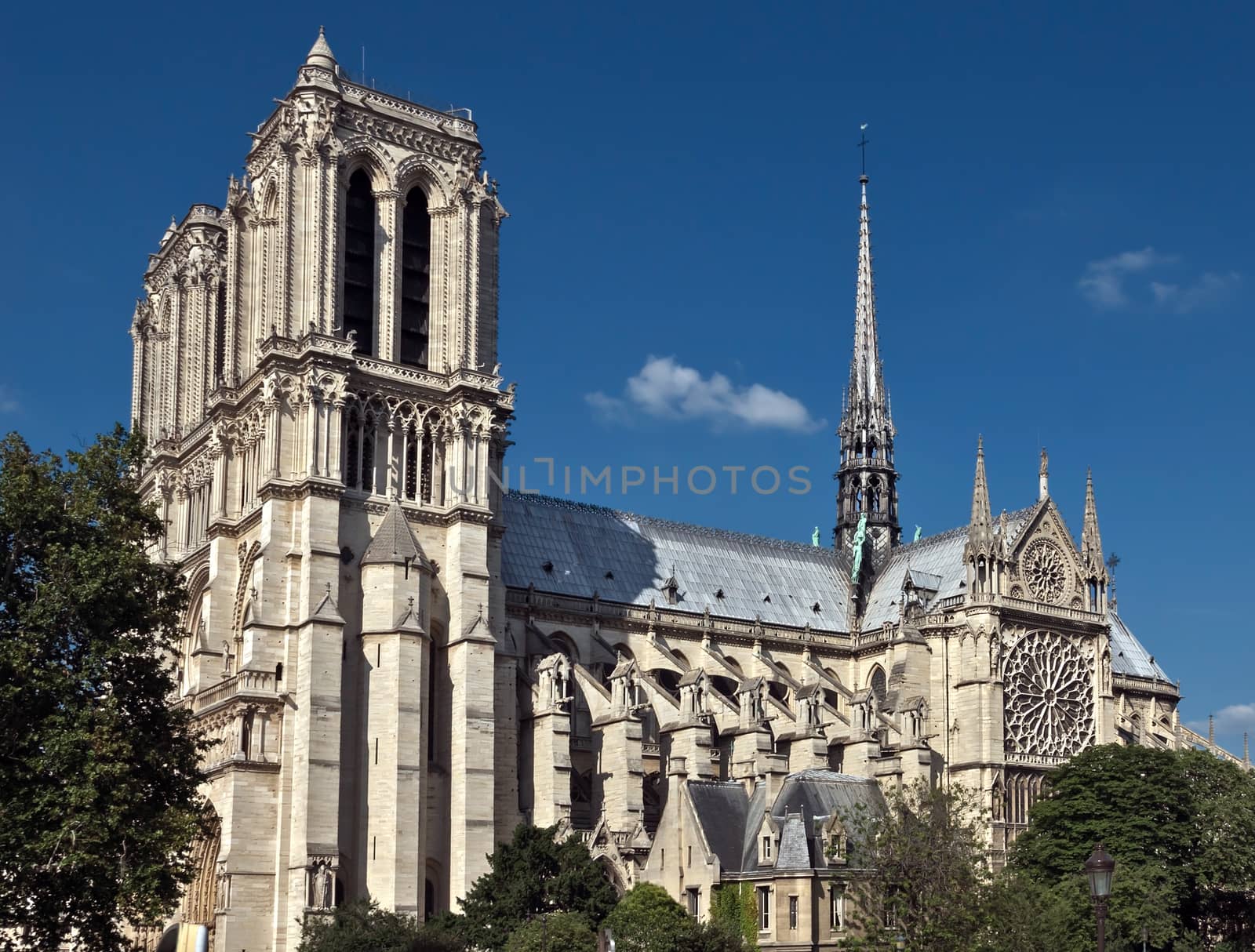 View of the Cathedral of Notre Dame in Paris, France.