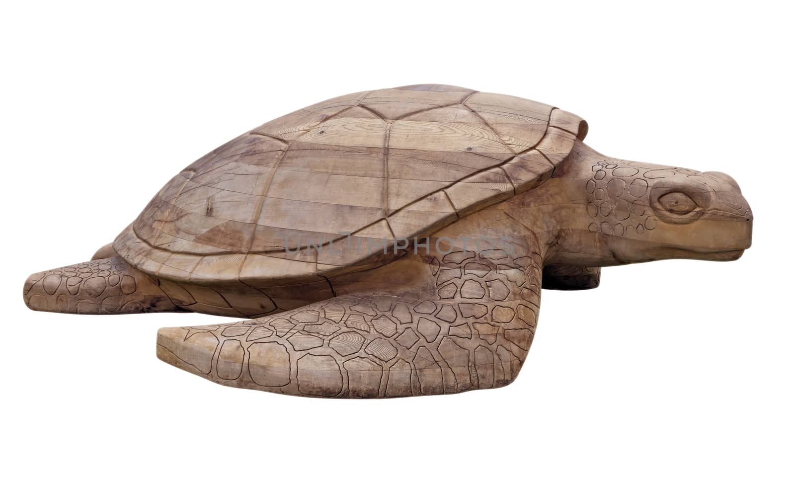 Wooden sea turtle isolated on white. Clipping path included.