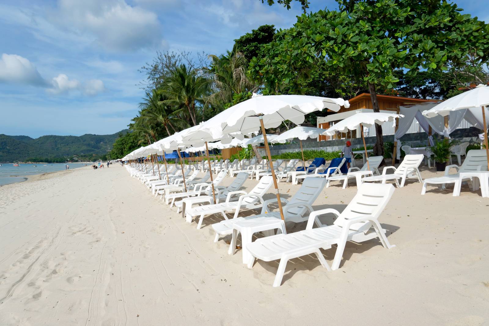 White Sandy Beach with Loungers and Umbrellas in Koh Samui, Thailand