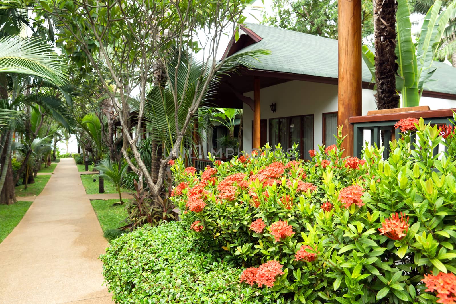Tropical villas in the garden. Koh Samui, Thailand.