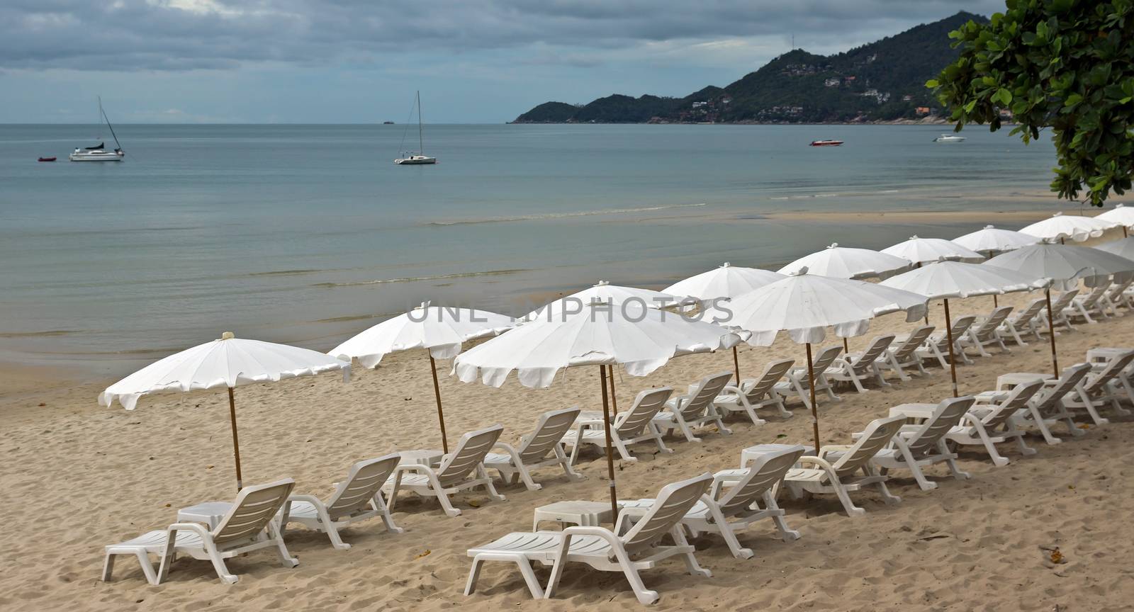 Sandy Beach with Loungers and Umbrellas in Koh Samui, Thailand.