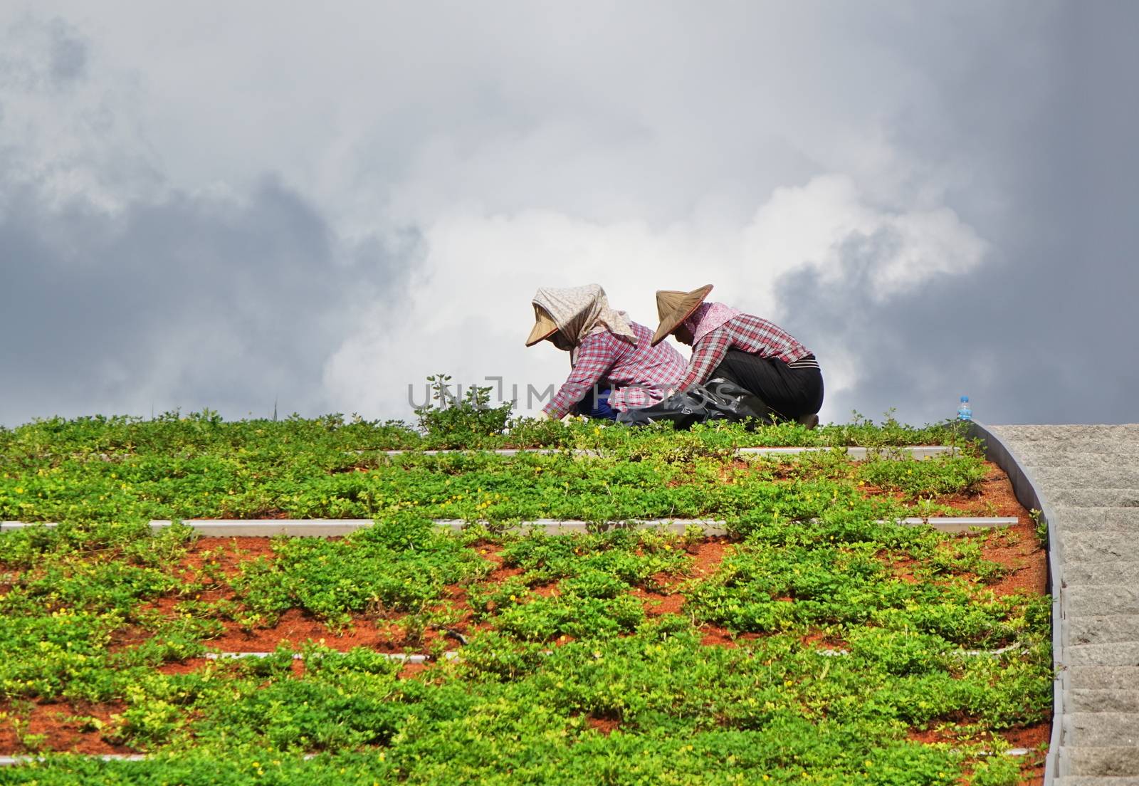 KAOHSIUNG, TAIWAN -- AUGUST 10, 2017: Two gardeners plant vegetation on the roof of a modern building.