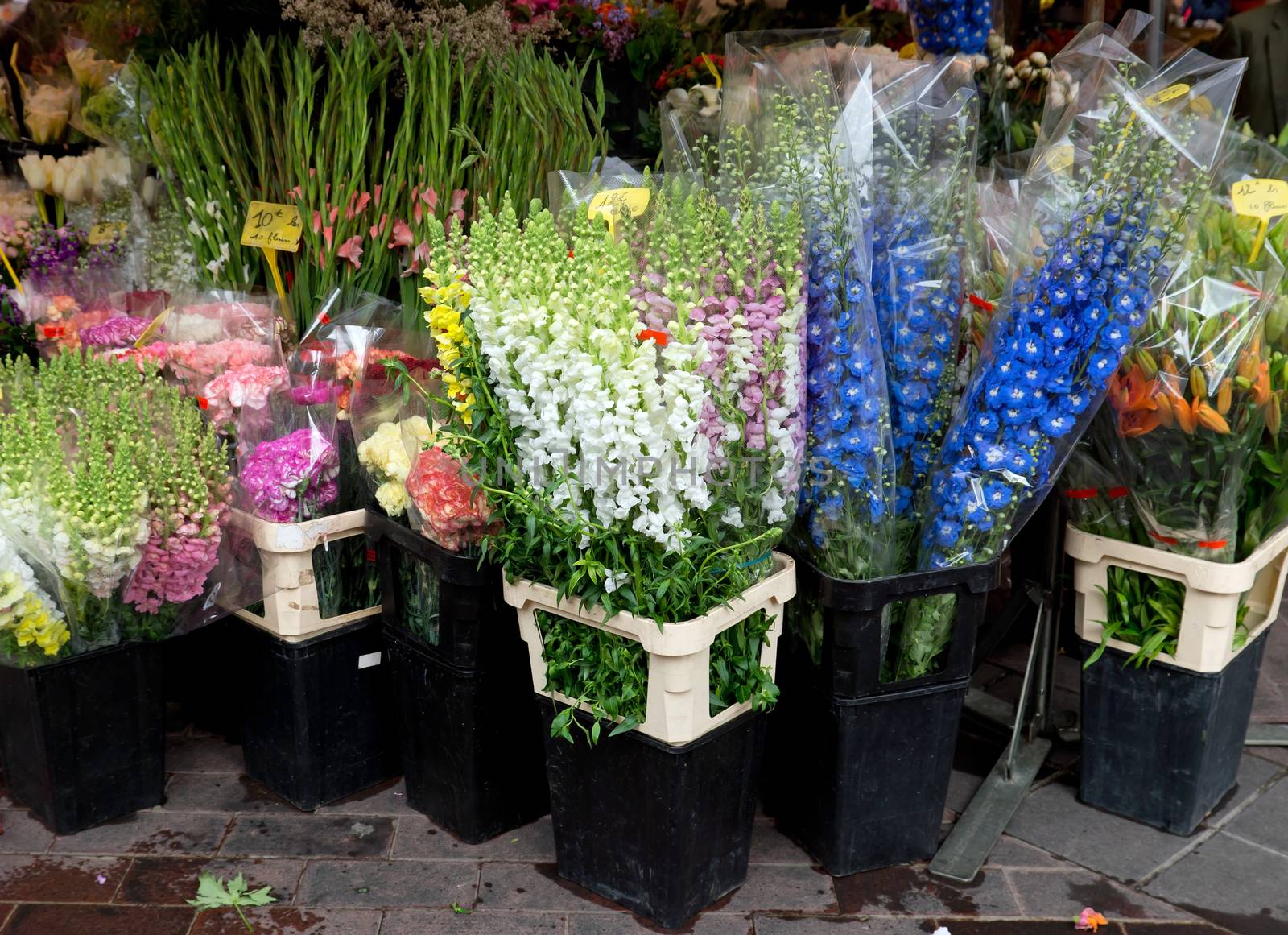 Outdoor flower market in Nice, France
