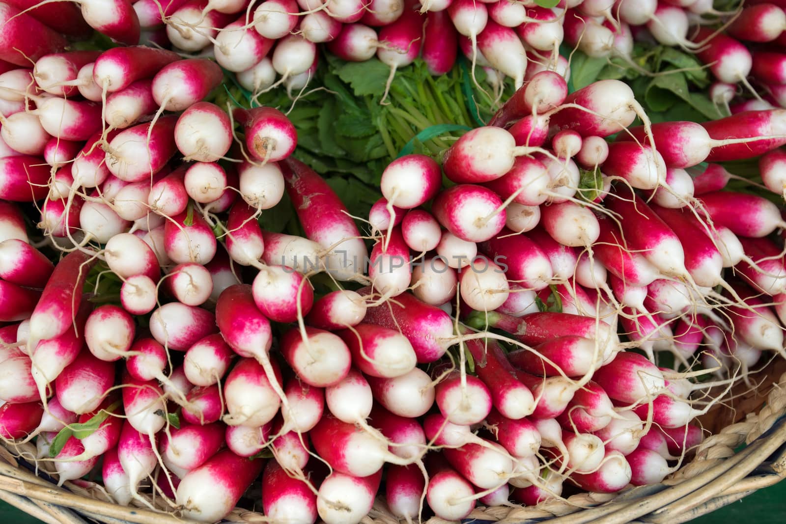 Many fresh radishes on the street market. 