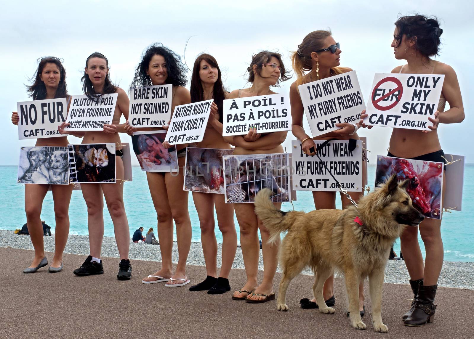 NICE, FRANCE - APRIL 27: The protest of the Green Party to protect animals from extinction at Promenade des Anglais on April 27, 2013 in Nice, France. 

Nice, France - April 27, 2013: The protest of the Green Party to protect animals from extinction at Promenade des Anglais.