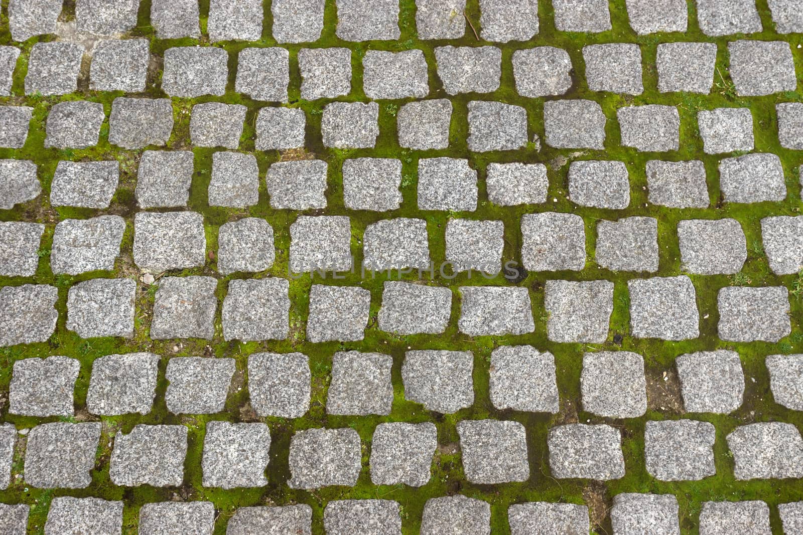Sidewalk closeup in the park, Nice, France.