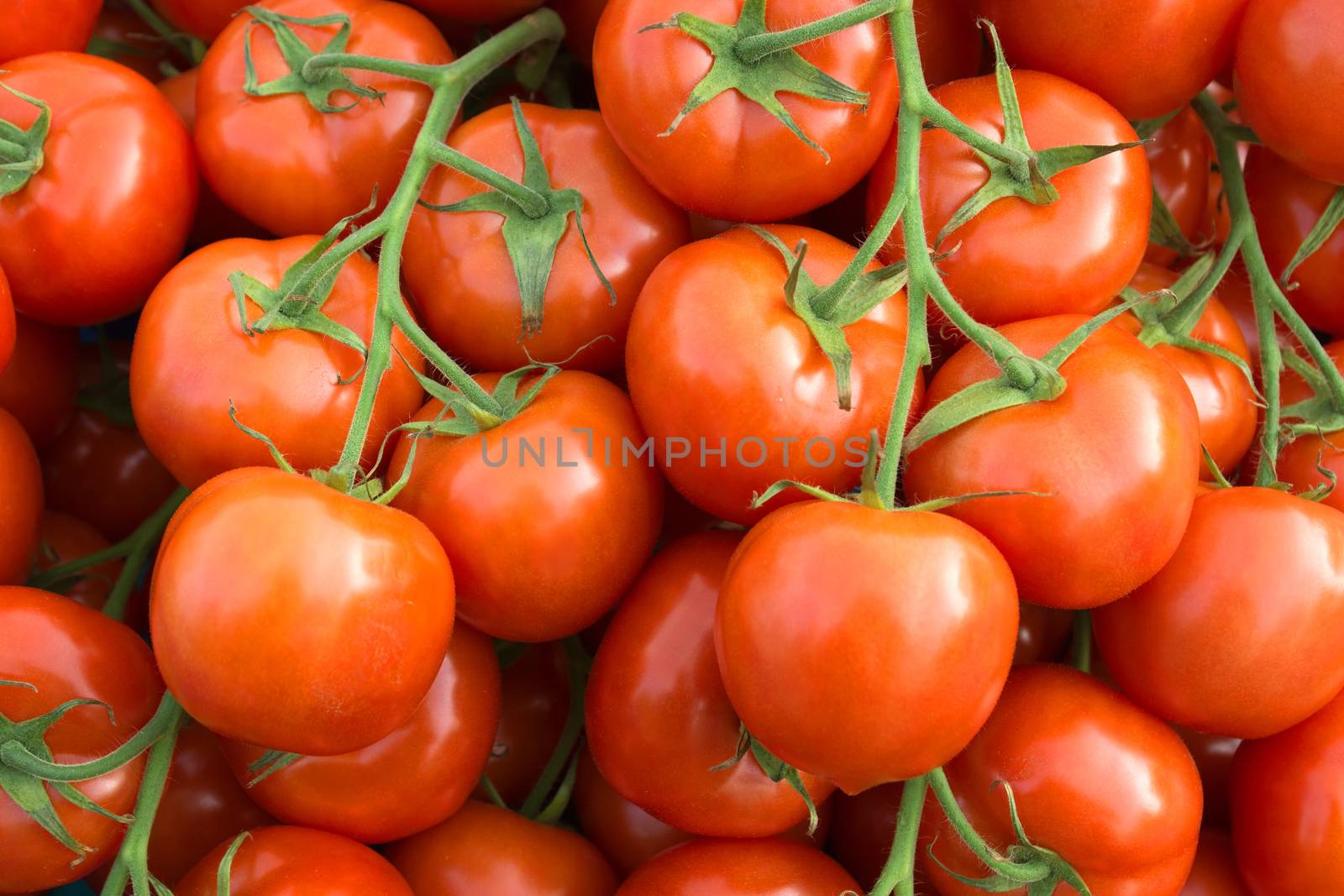 Many fresh tomatoes on the street market. 