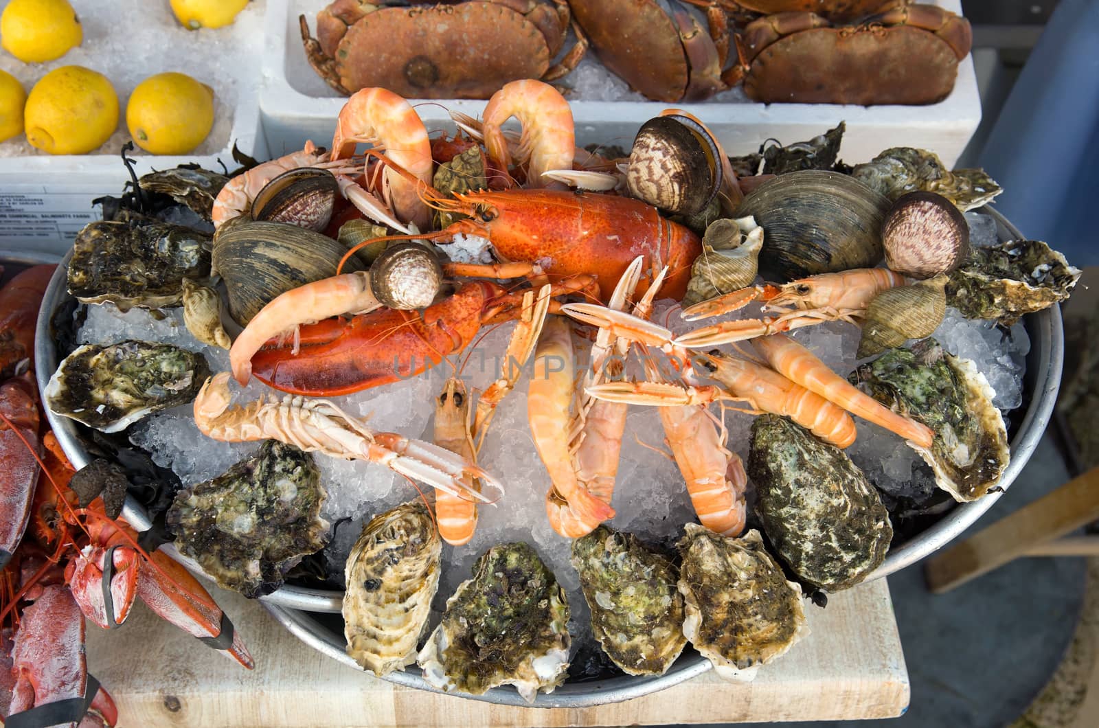 Showcase of seafood in the sea market. Nice, France.