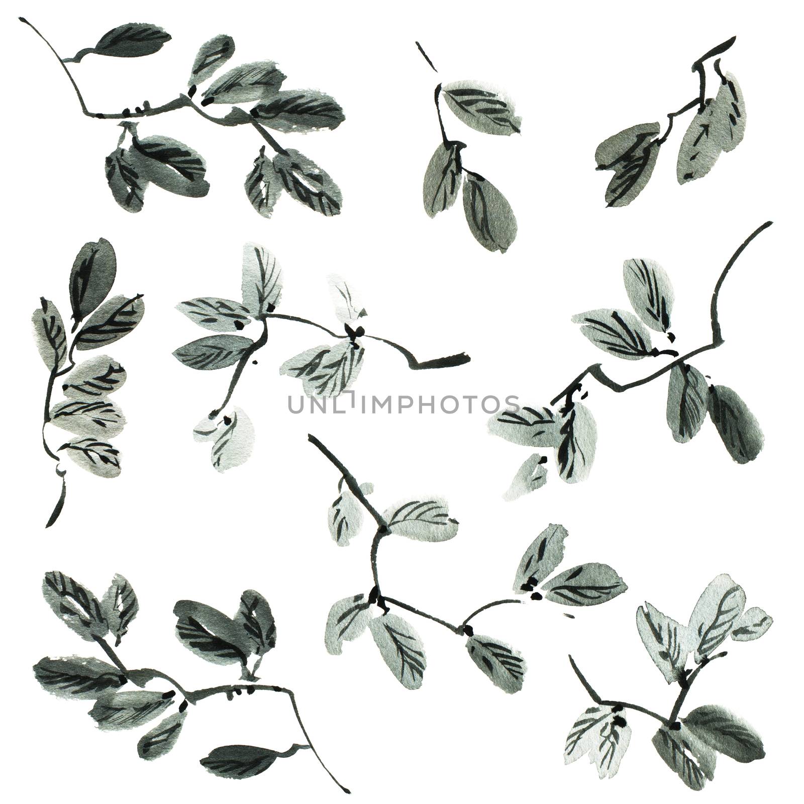 Watercolor and ink illustration of tree leaves in style sumi-e, u-sin. Oriental traditional painting.