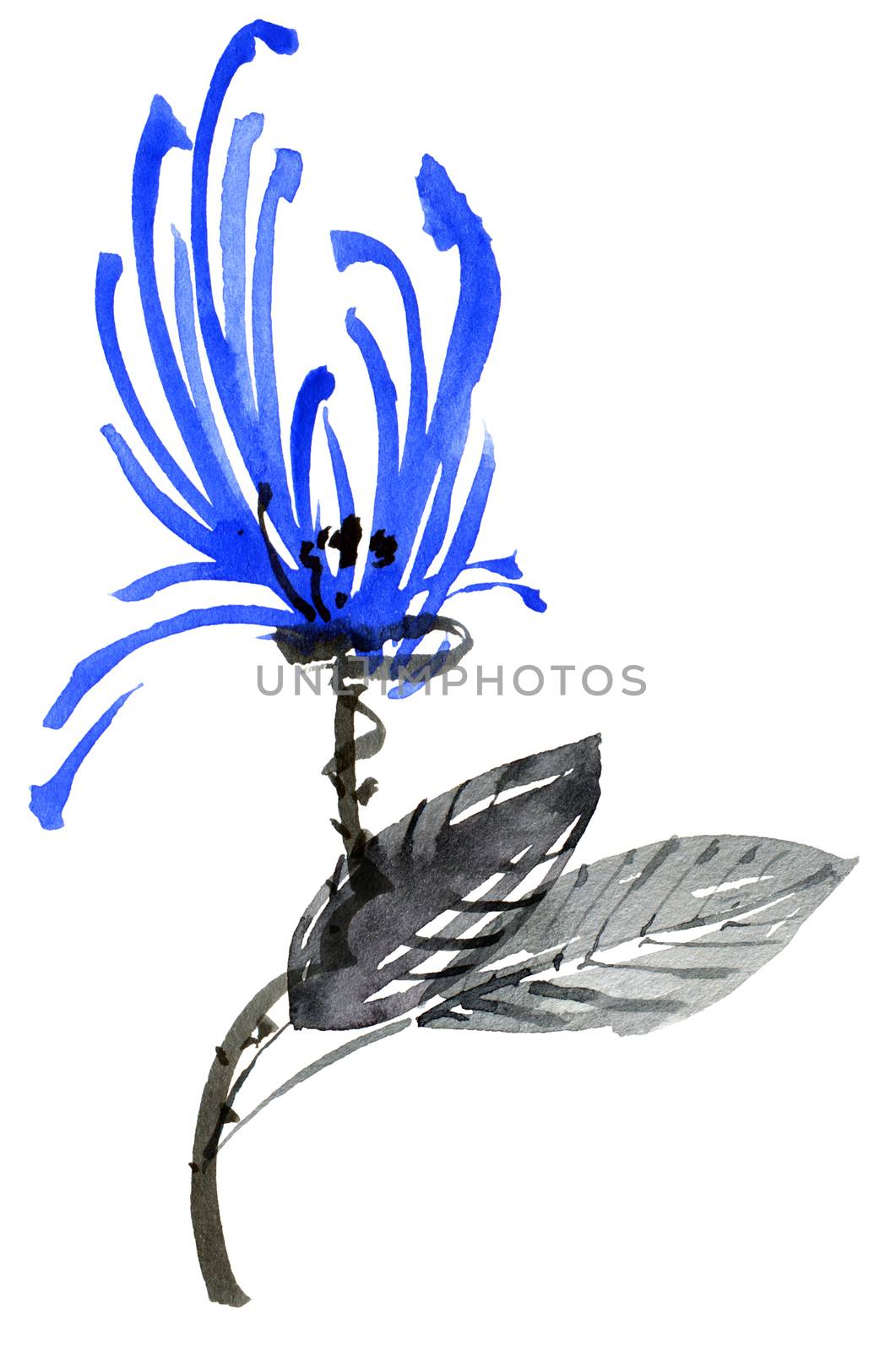 Watercolor and ink illustration of blue flower with leaves. Oriental traditional painting in style sumi-e, u-sin and gohua.