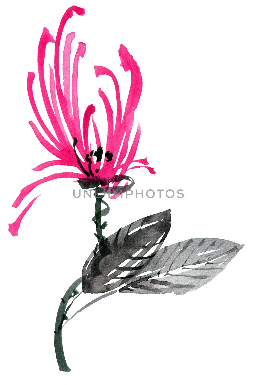 Watercolor and ink illustration of red flower with leaves. Oriental traditional painting in style sumi-e, u-sin and gohua.