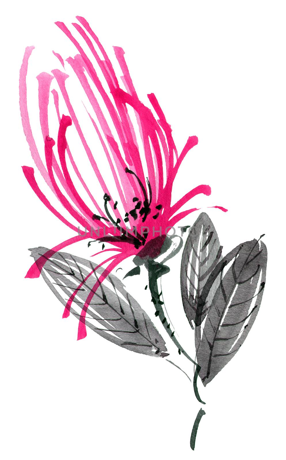 Watercolor and ink illustration of red flower with leaves. Oriental traditional painting in style sumi-e, u-sin and gohua.