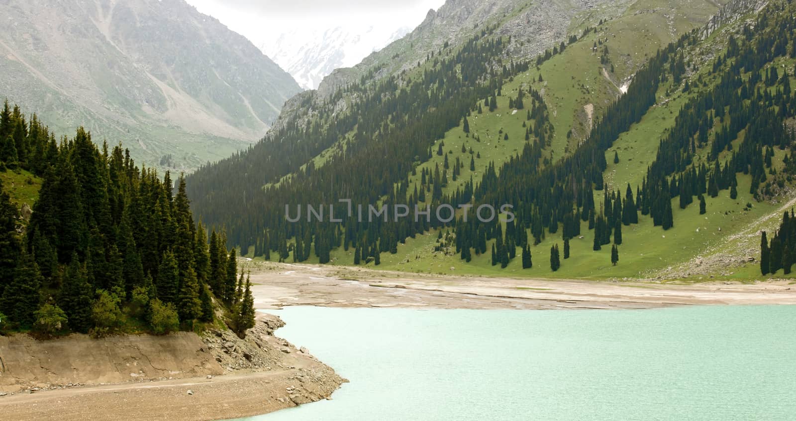 High Mountain Lake in the summer season
