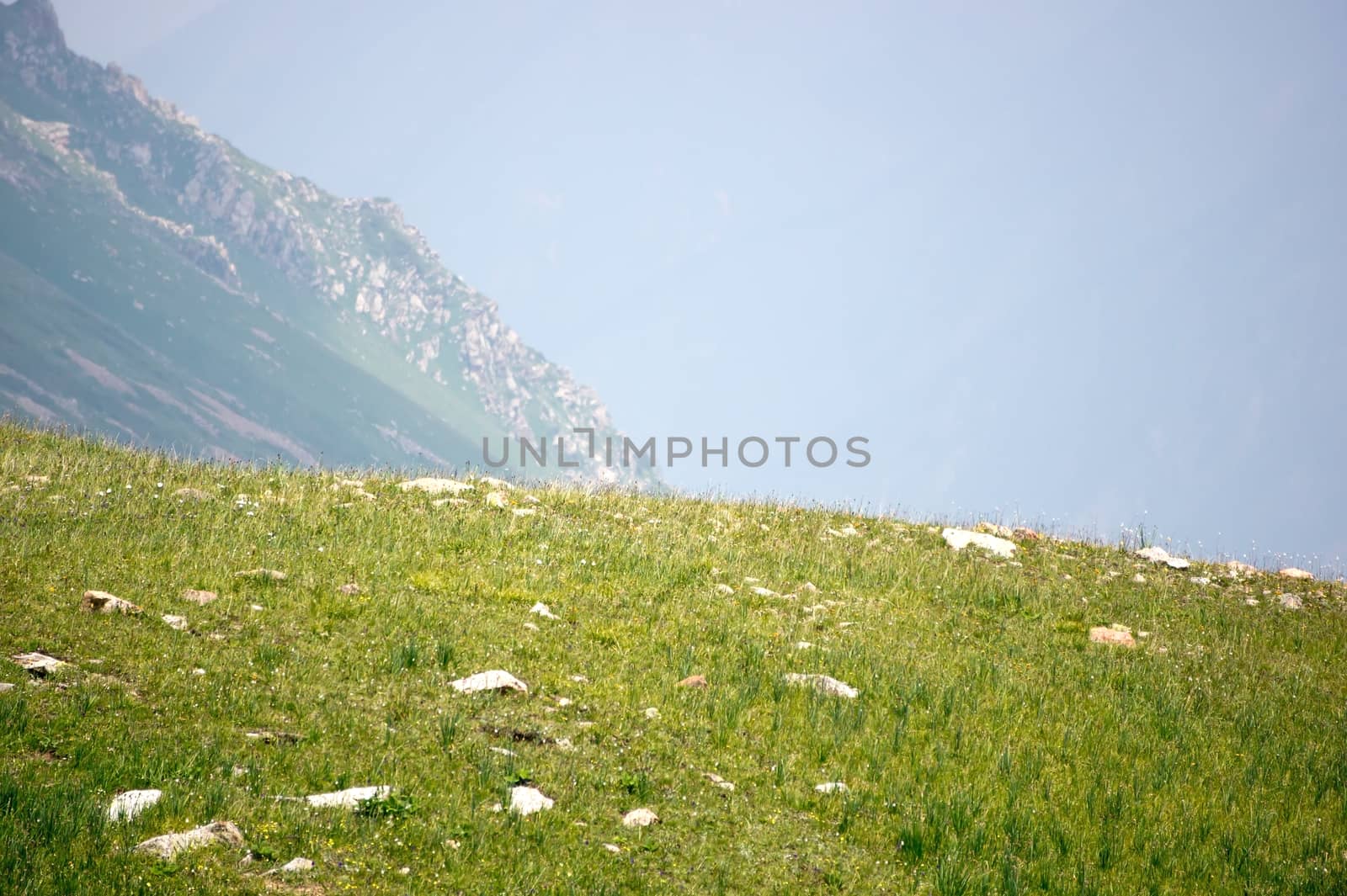 The valley in the Alps in the summer season