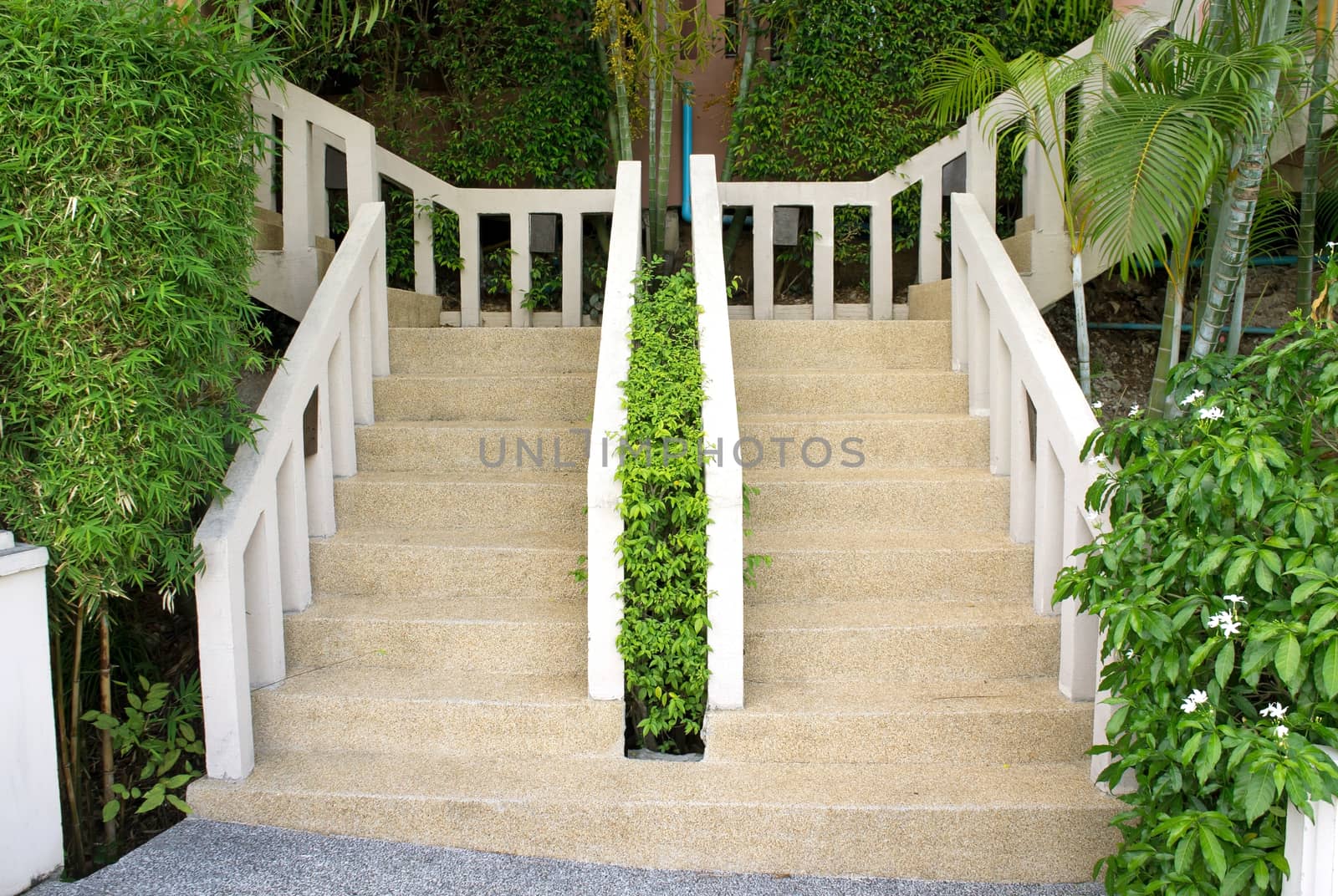 Outdoors stairs to hotel in tropic forest