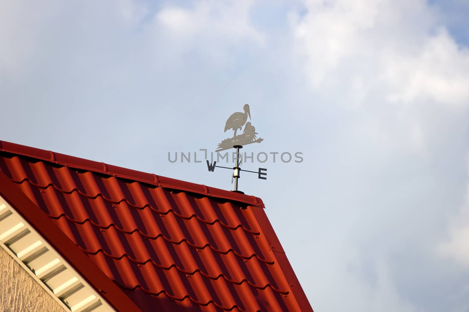 Weather vane on the roof against a sky 