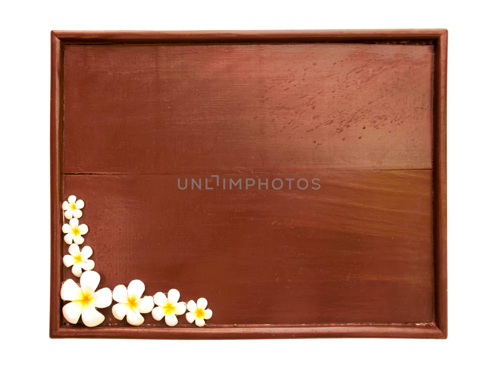 Wooden pattern frame with white plumeria flowers. Clipping path included.