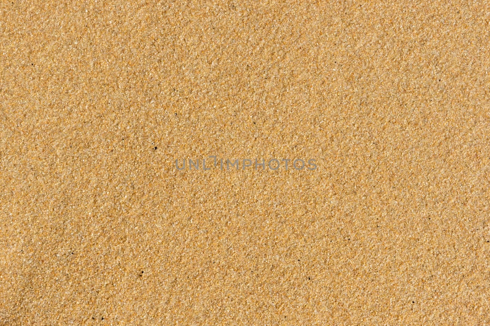 Sand texture - smooth beauty after the drift wave
