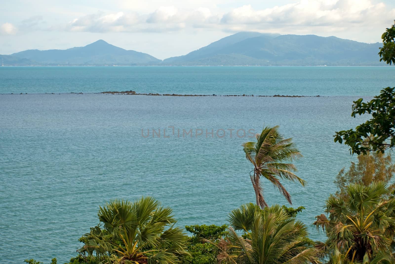 Tropical sea view with coconut palms in early morning