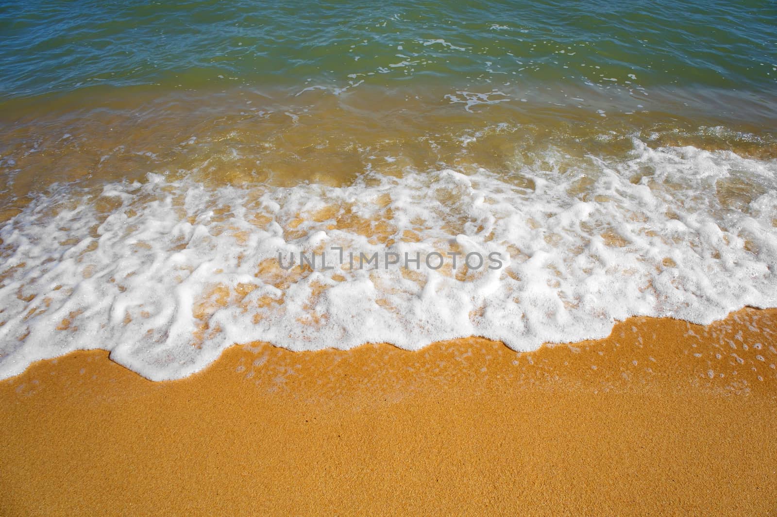 Water waves on the golden beach in sunny day