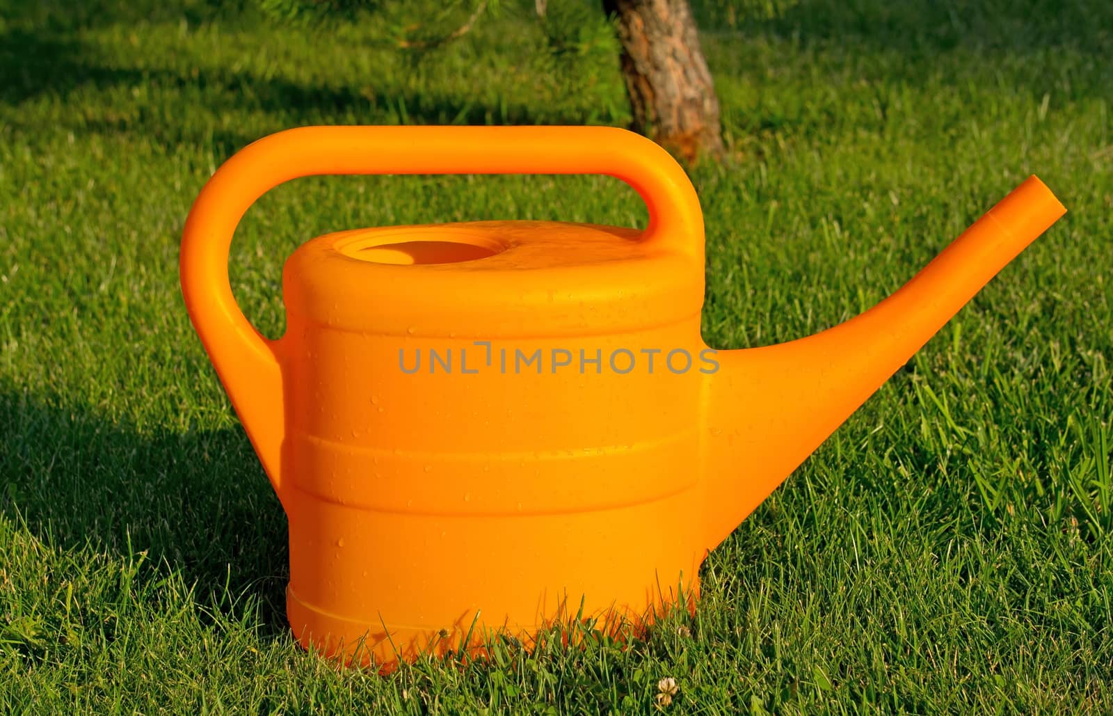Plastic watering-can with water on the green grass
