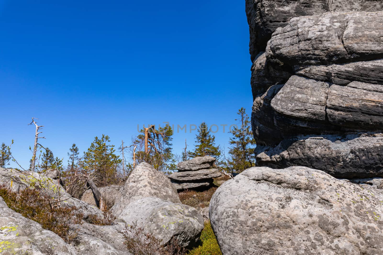 Stolowe Mountains National Park. Rock formations in Szczeliniec  by mariusz_prusaczyk