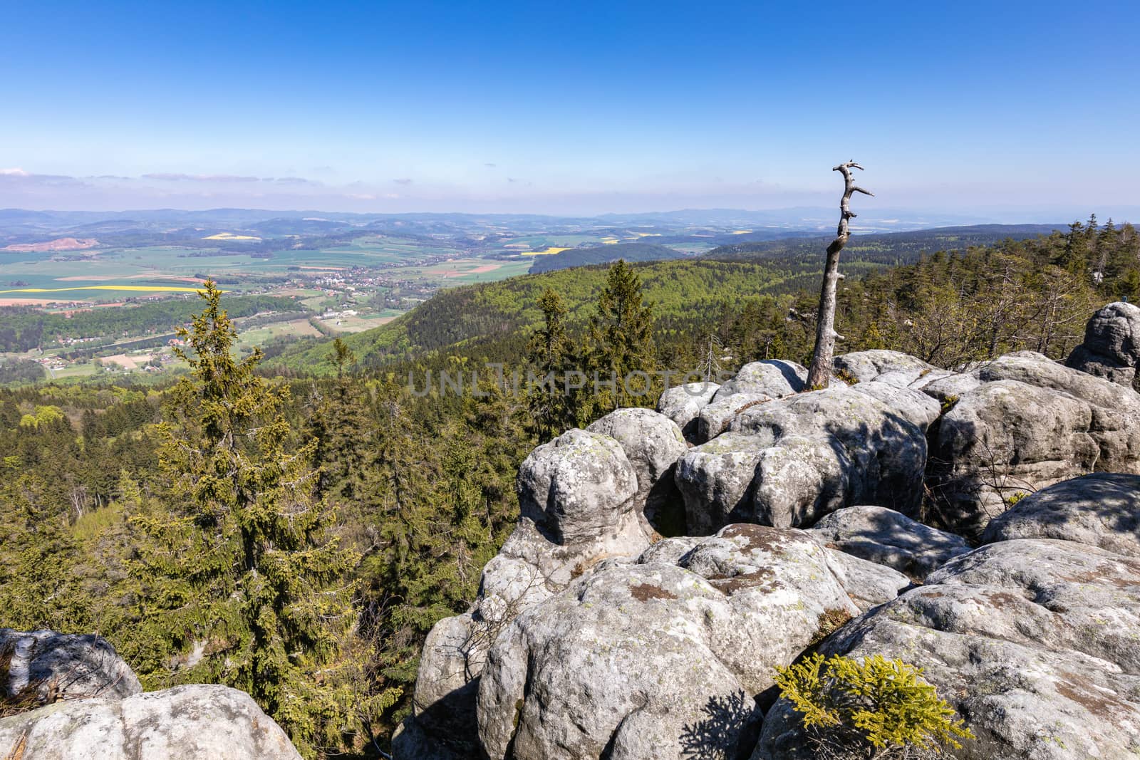 Stolowe Mountains National Park view from Szczeliniec Wielki nea by mariusz_prusaczyk
