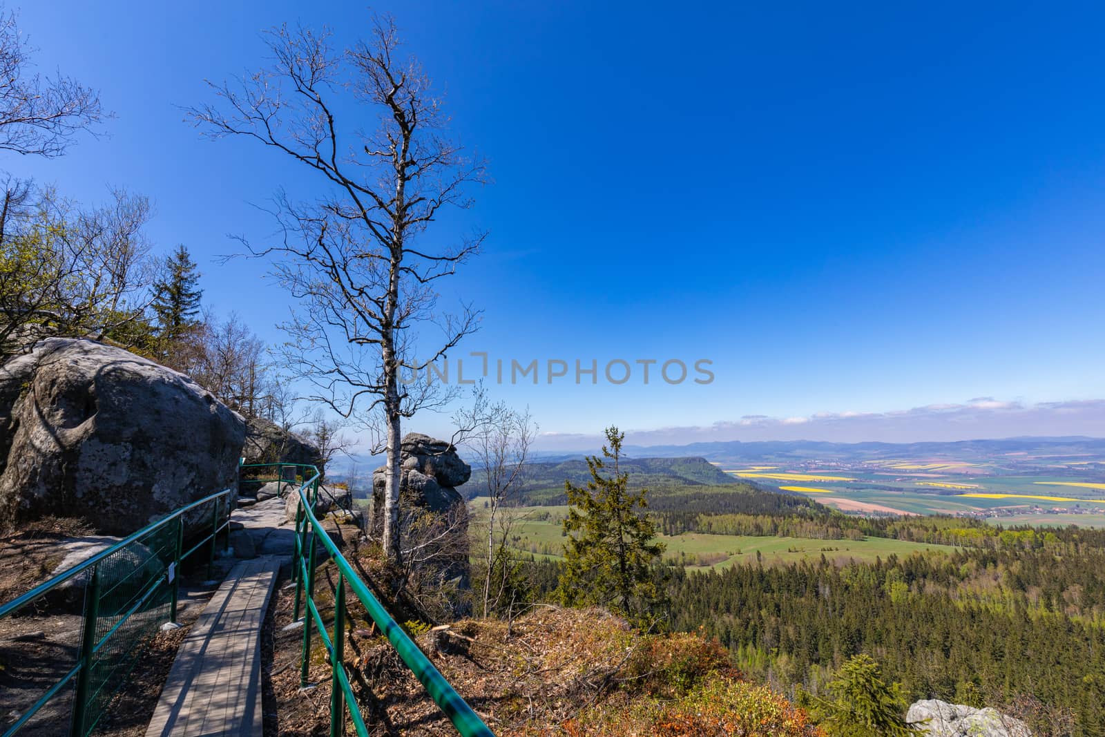 Stolowe Mountains National Park. View from Szczeliniec Wielki ne by mariusz_prusaczyk