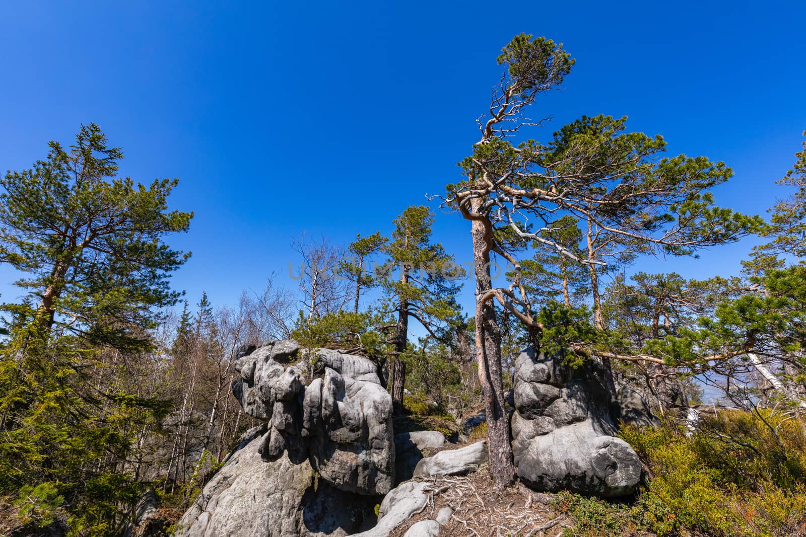 Stolowe Mountains National Park. Rock formations in Szczeliniec  by mariusz_prusaczyk