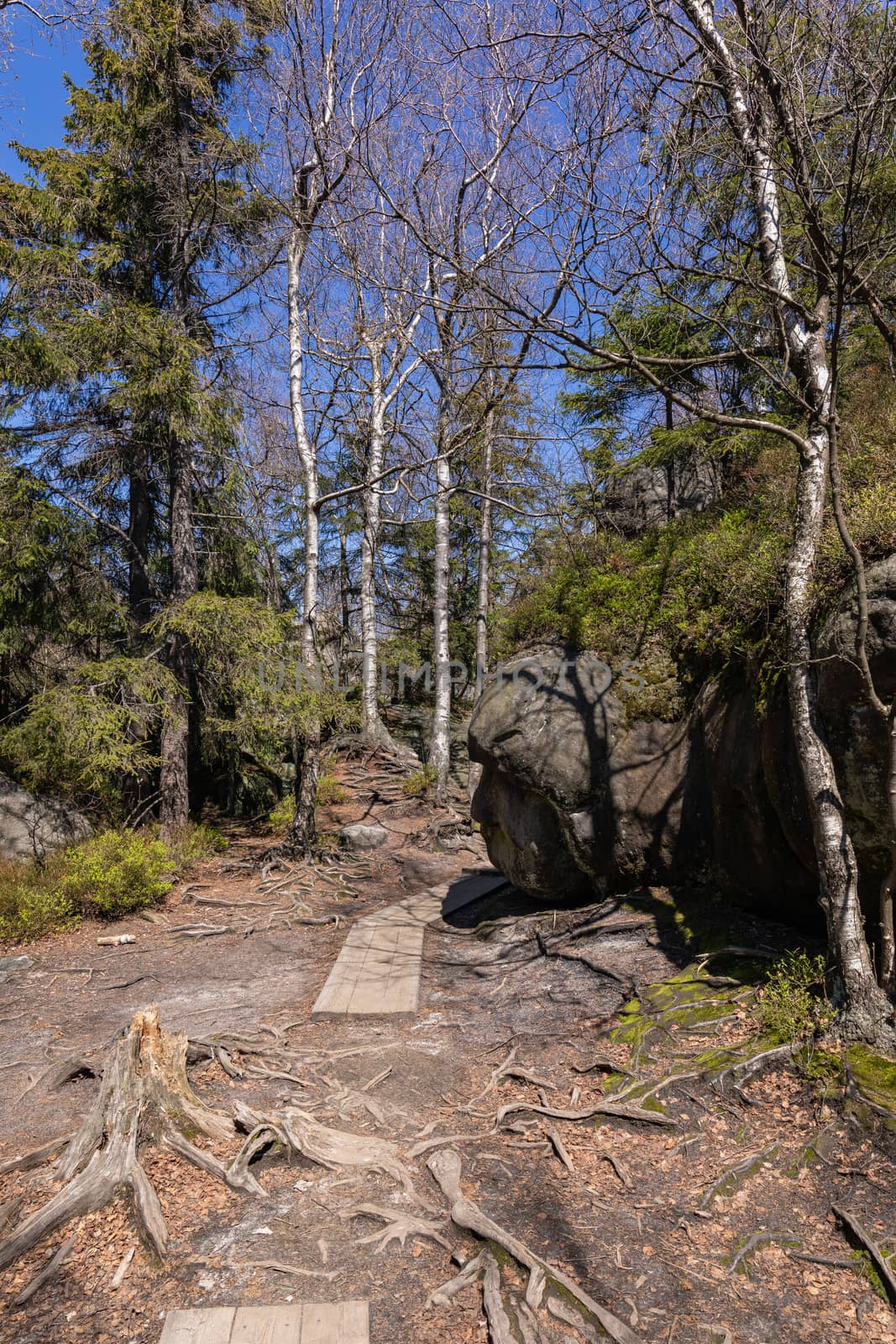 Stolowe Mountains National Park. Path in Rock Labyrinth hiking t by mariusz_prusaczyk